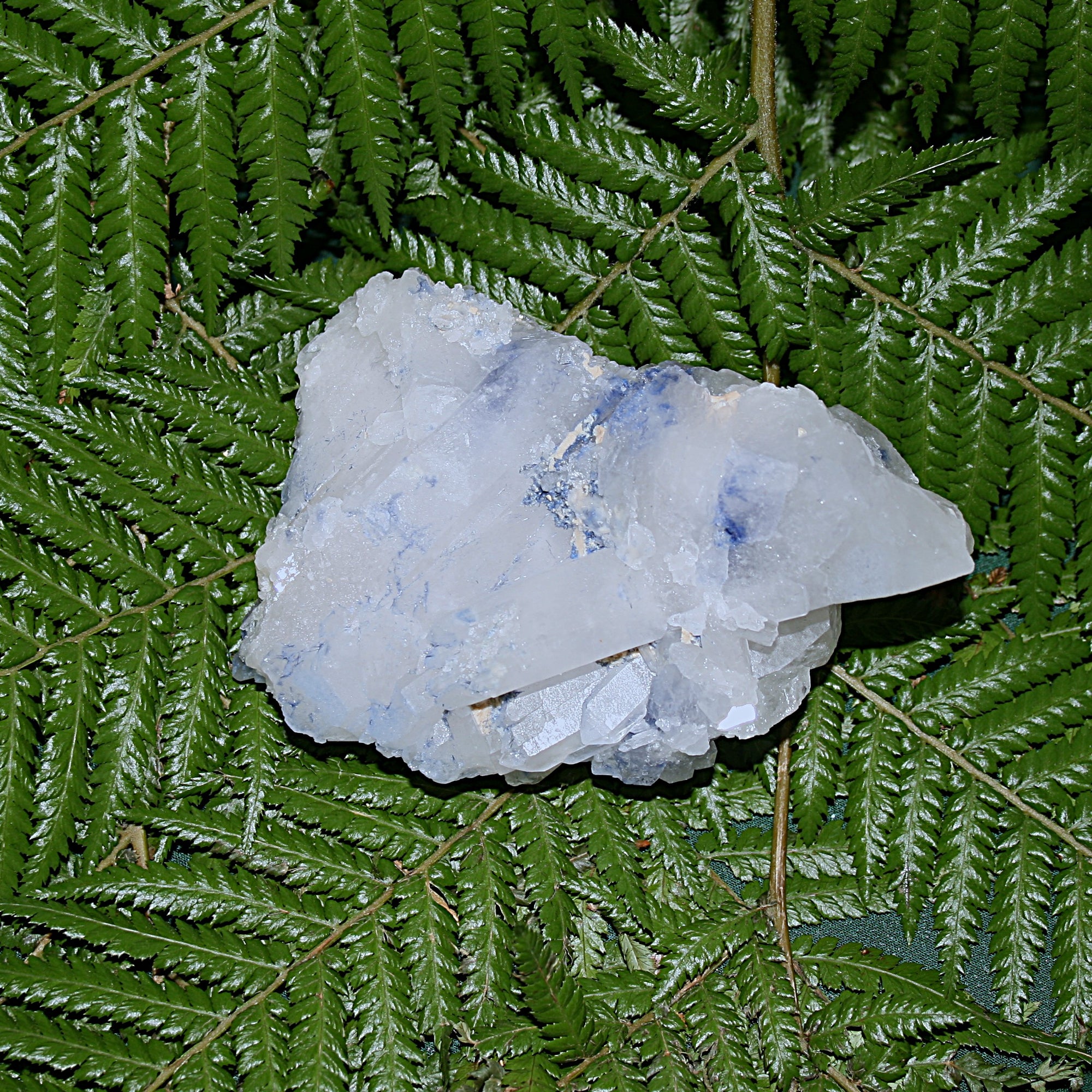 Dumortierite Specimen
