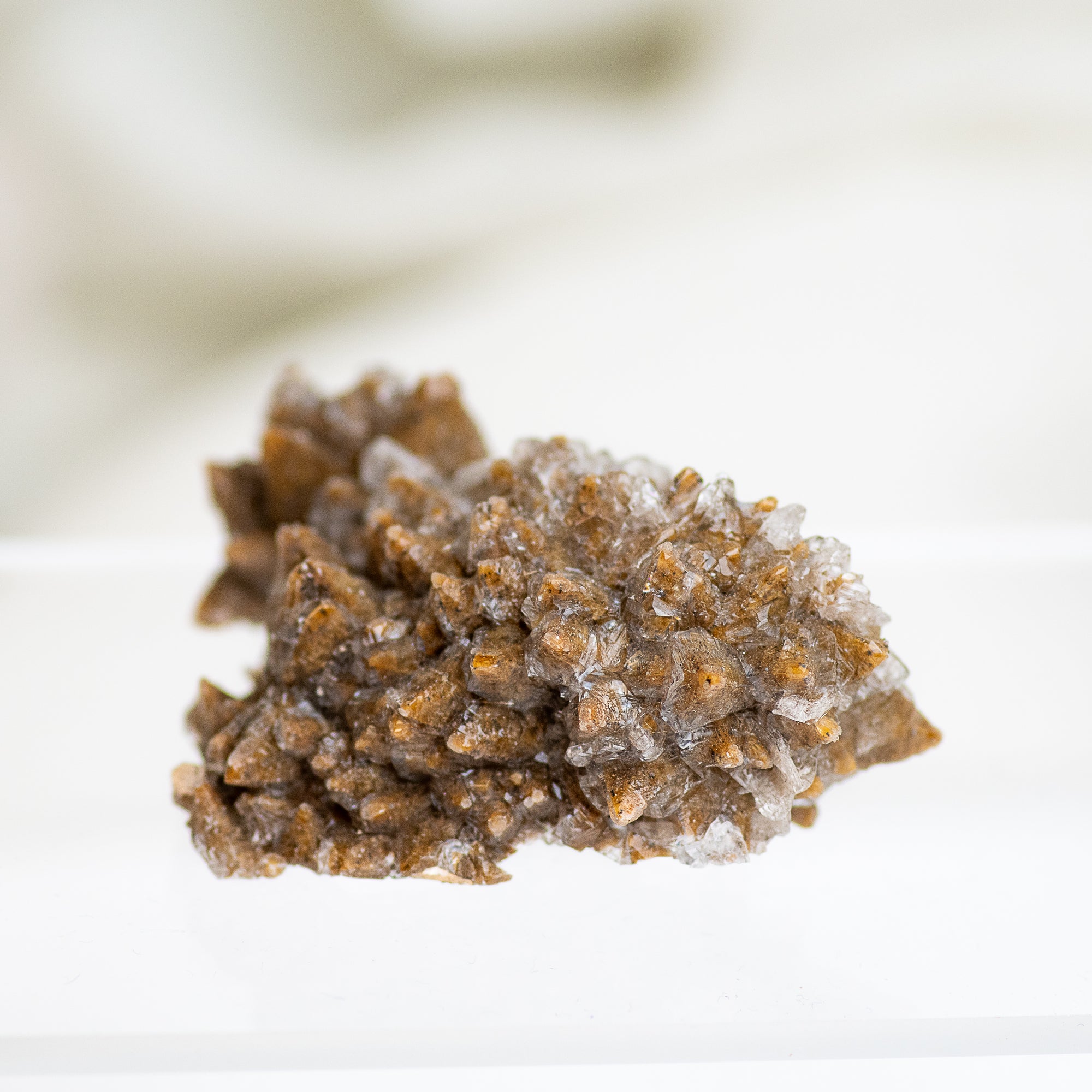 Raw Dog Tooth Calcite Cluster