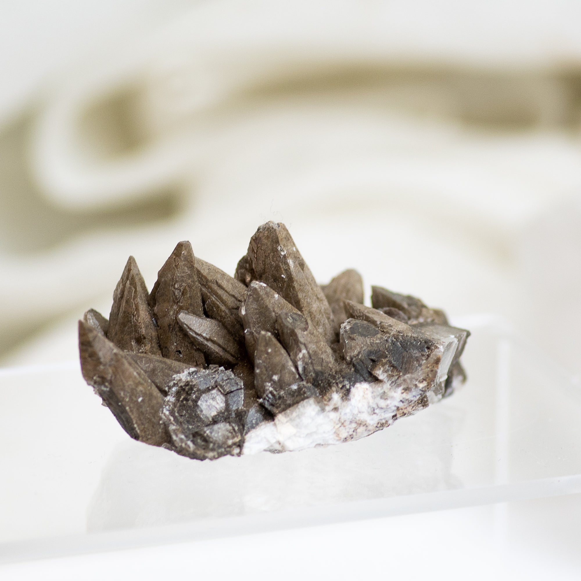 Raw Dog Tooth Calcite Cluster