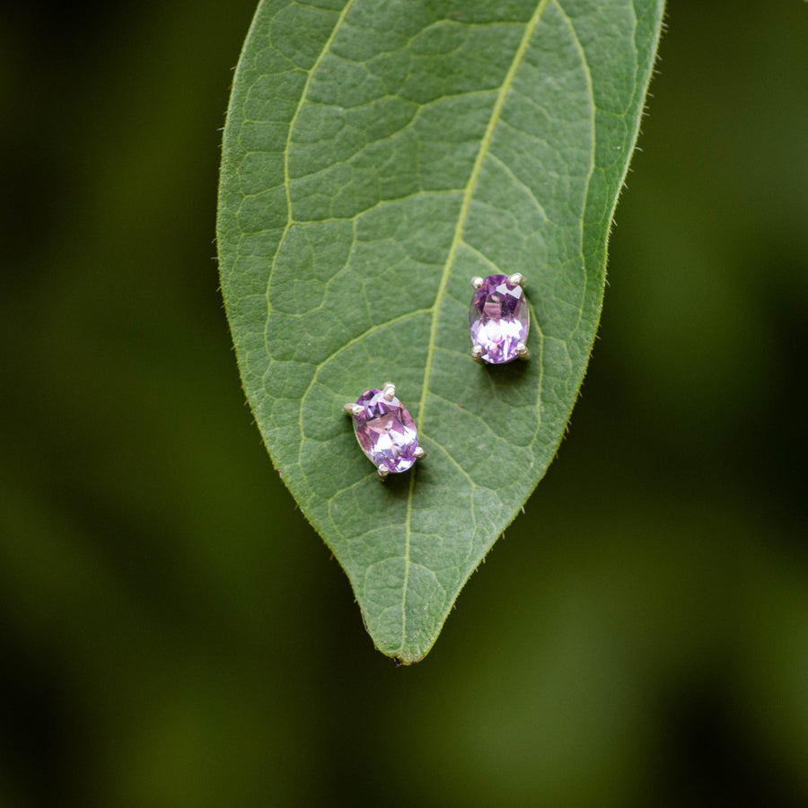 Amethyst Stud Earrings