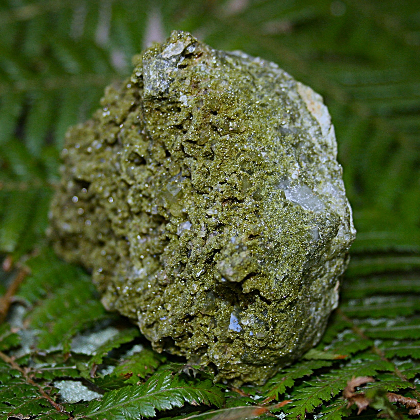AAA Fairy Forest Epidote