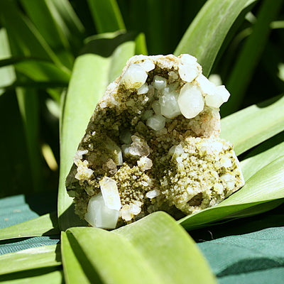 AAA Fairy Forest Epidote