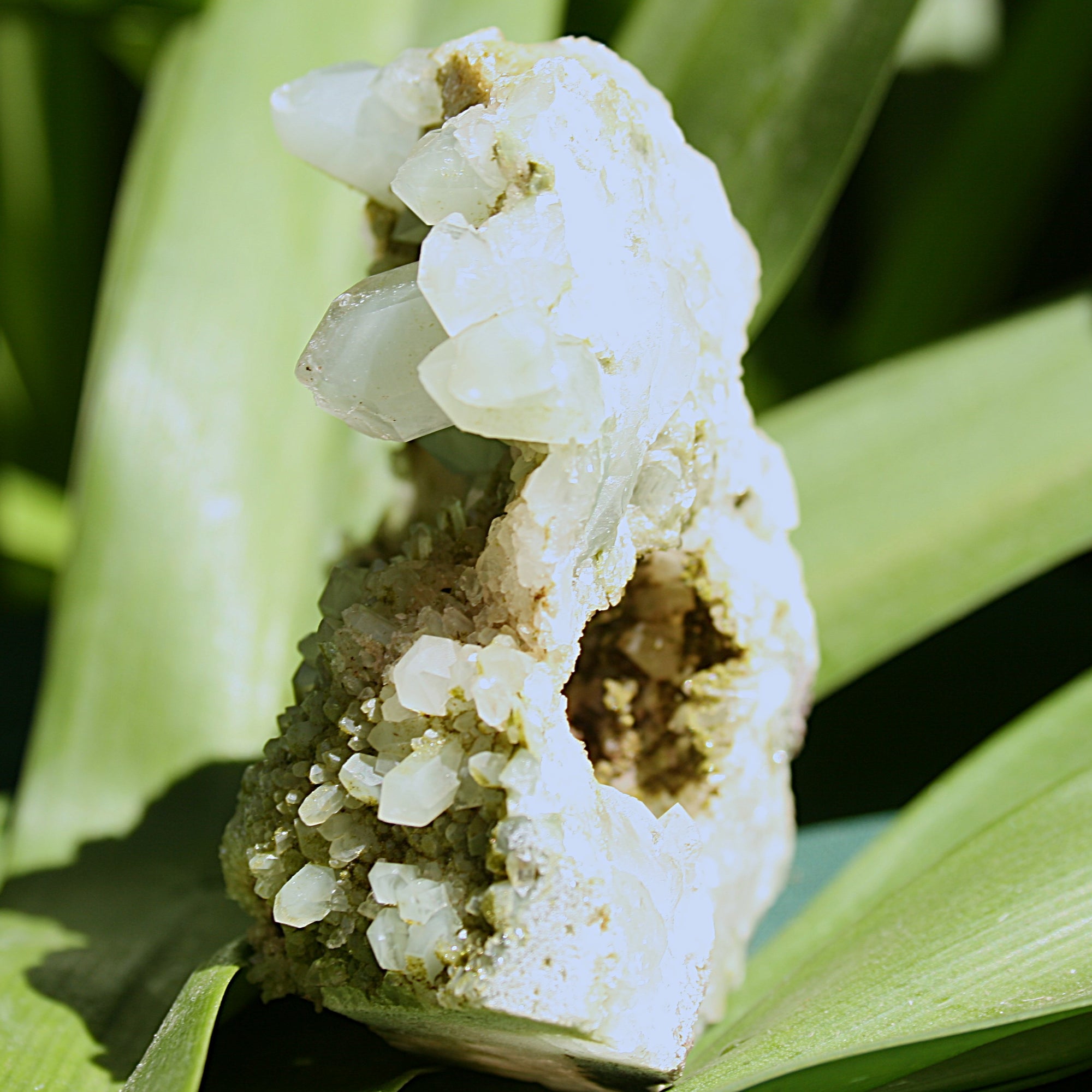 AAA Fairy Forest Epidote