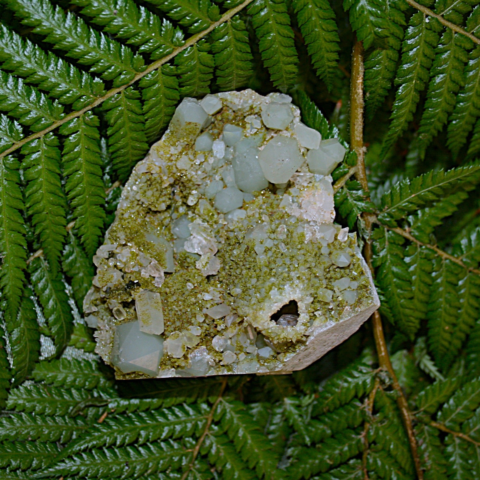 AAA Fairy Forest Epidote