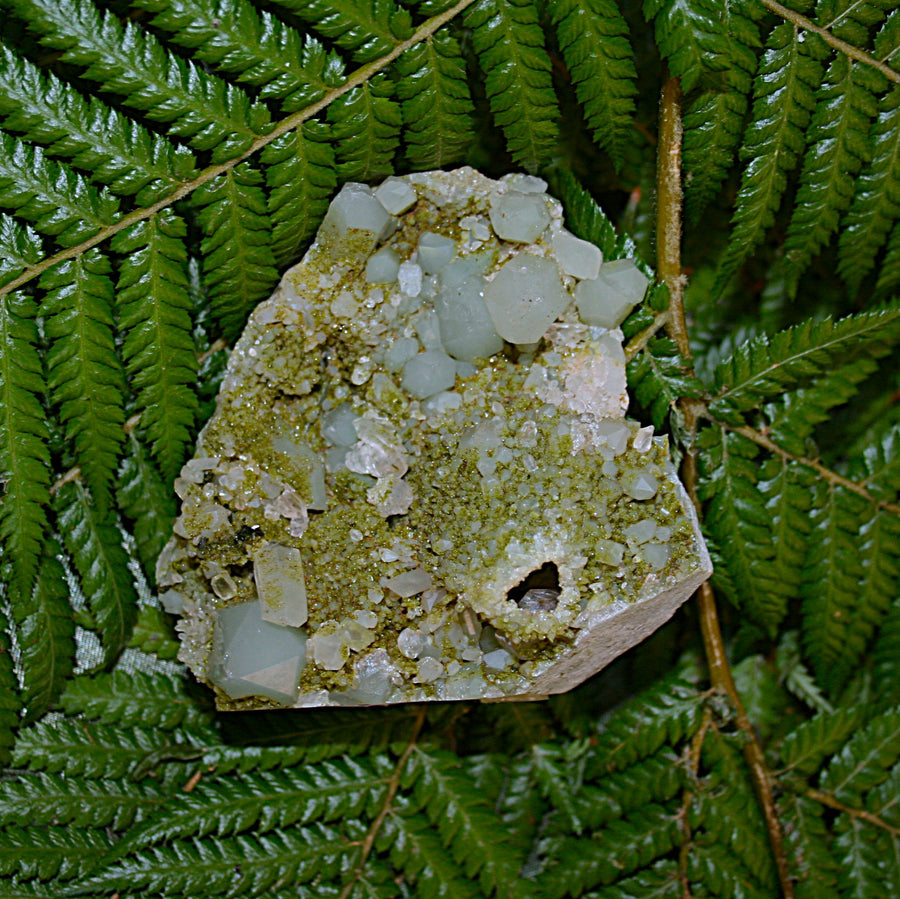 AAA Fairy Forest Epidote