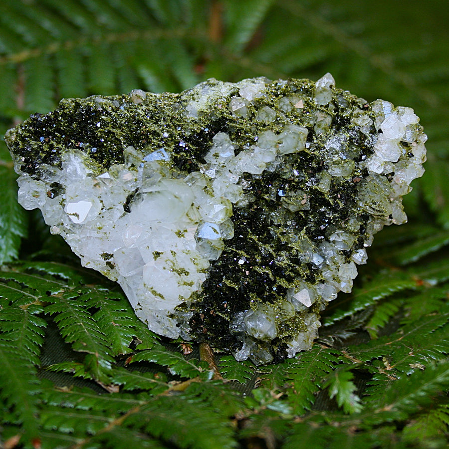 AAA Fairy Forest Epidote