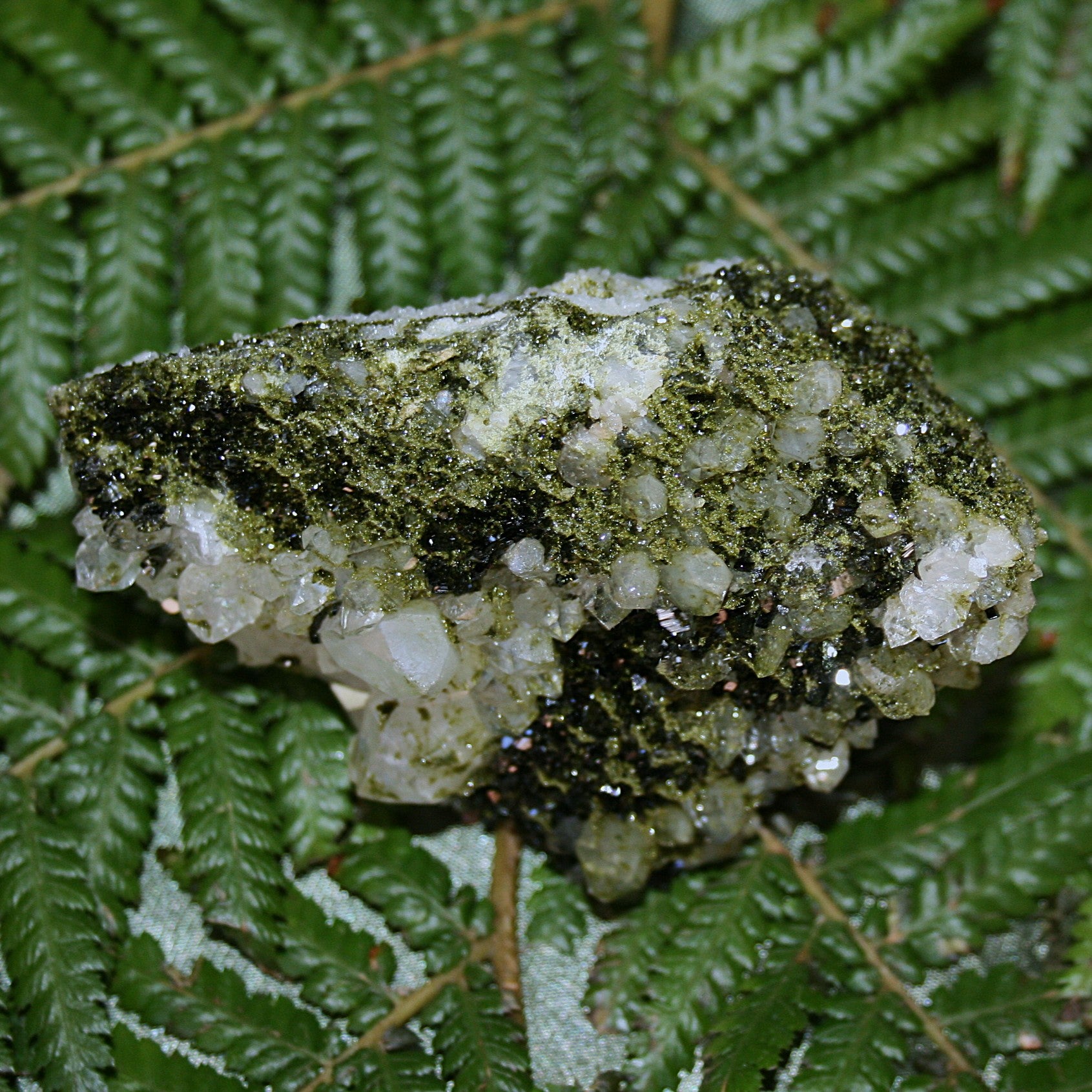 AAA Fairy Forest Epidote