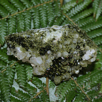 AAA Fairy Forest Epidote