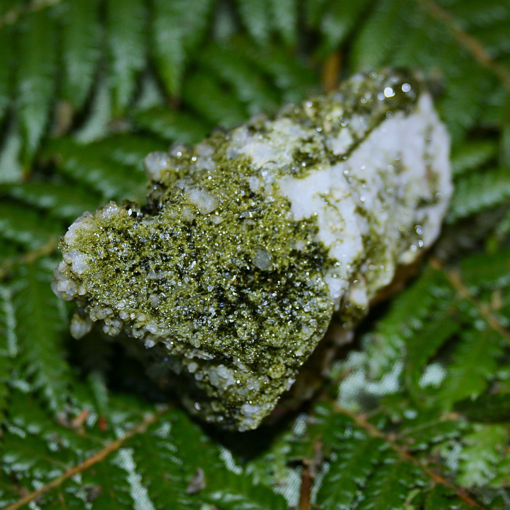 AAA Fairy Forest Epidote