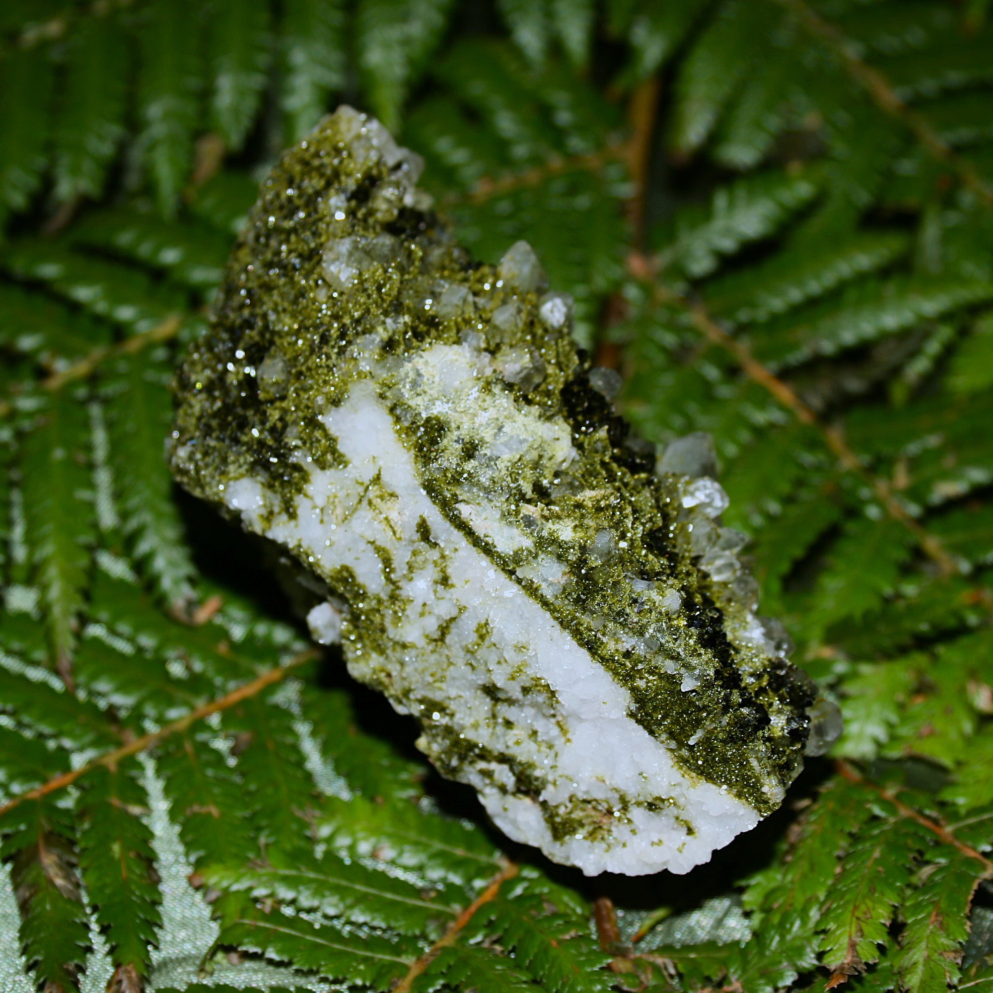 AAA Fairy Forest Epidote