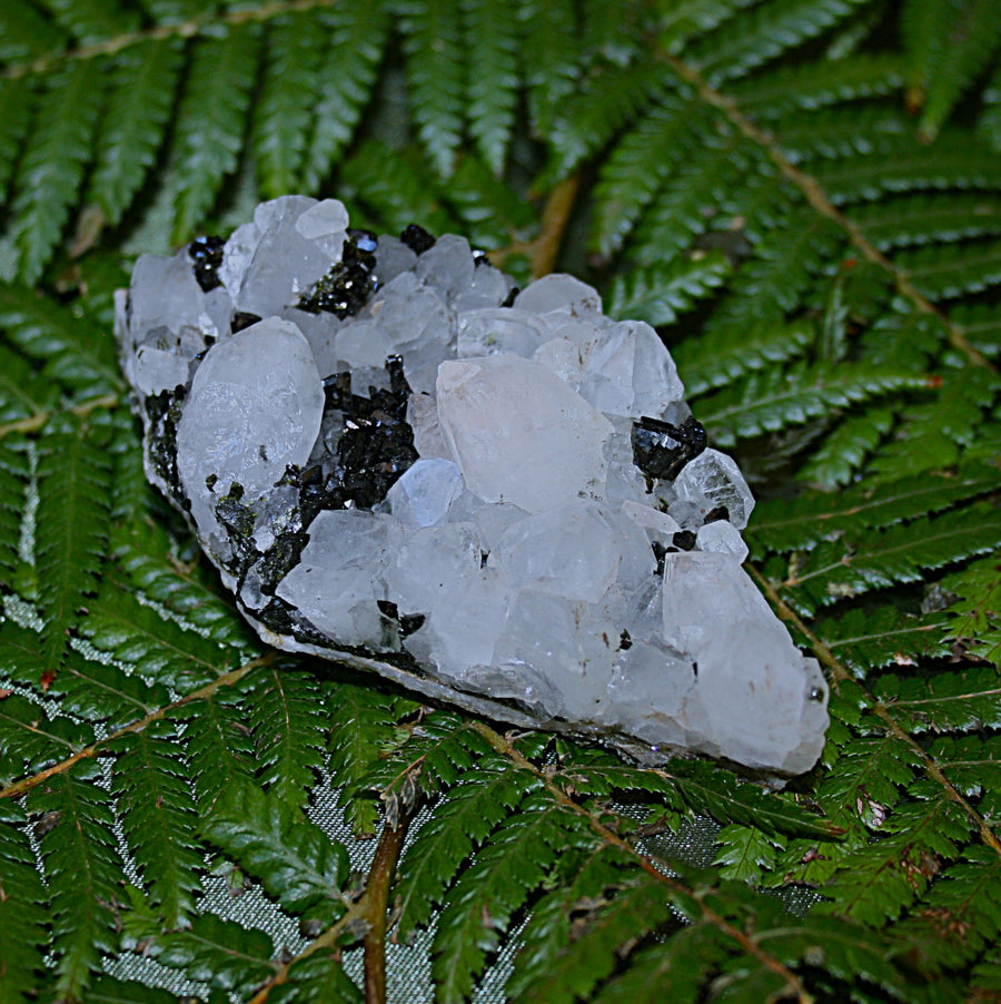 AAA Fairy Forest Epidote