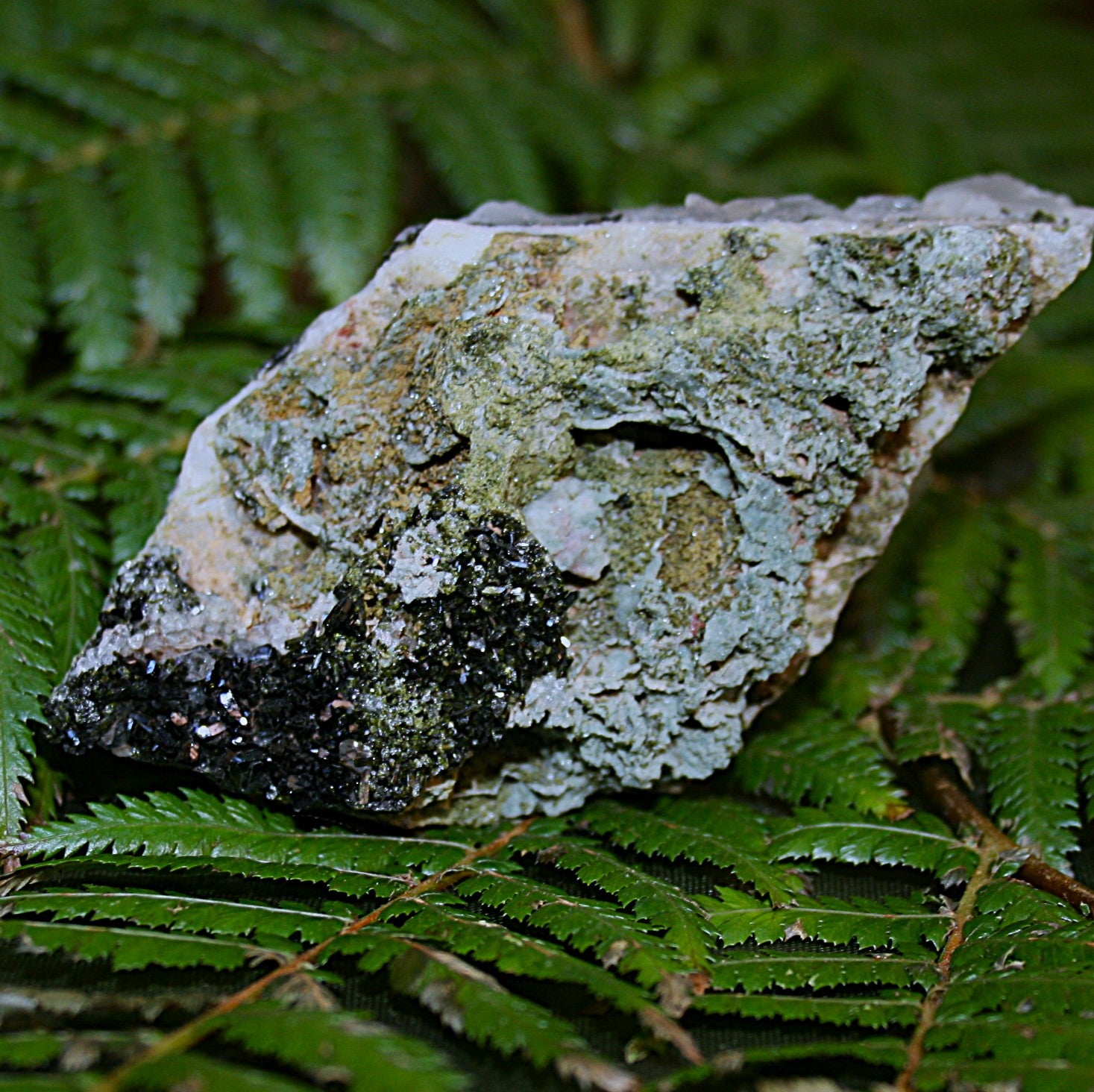 AAA Fairy Forest Epidote