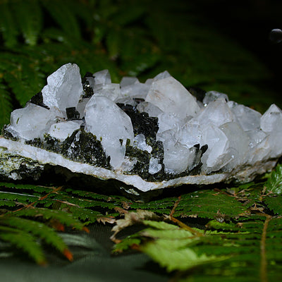 AAA Fairy Forest Epidote