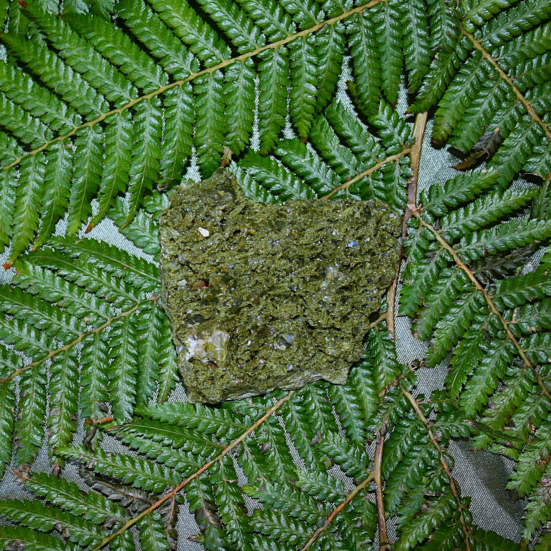 AAA Fairy Forest Epidote (
