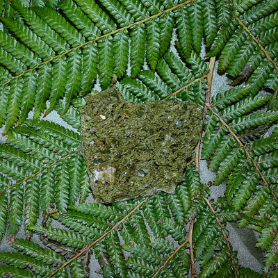 AAA Fairy Forest Epidote (