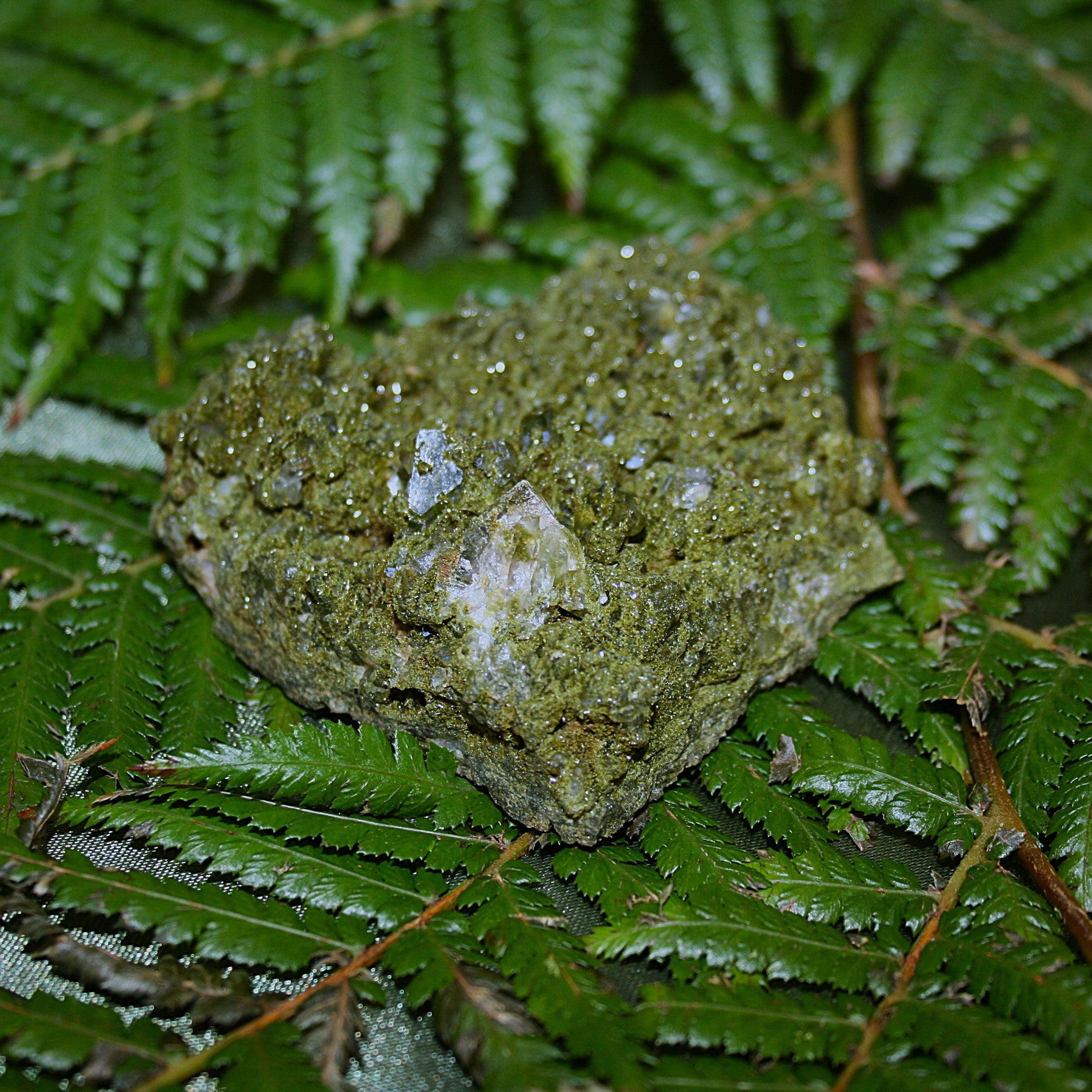 AAA Fairy Forest Epidote (