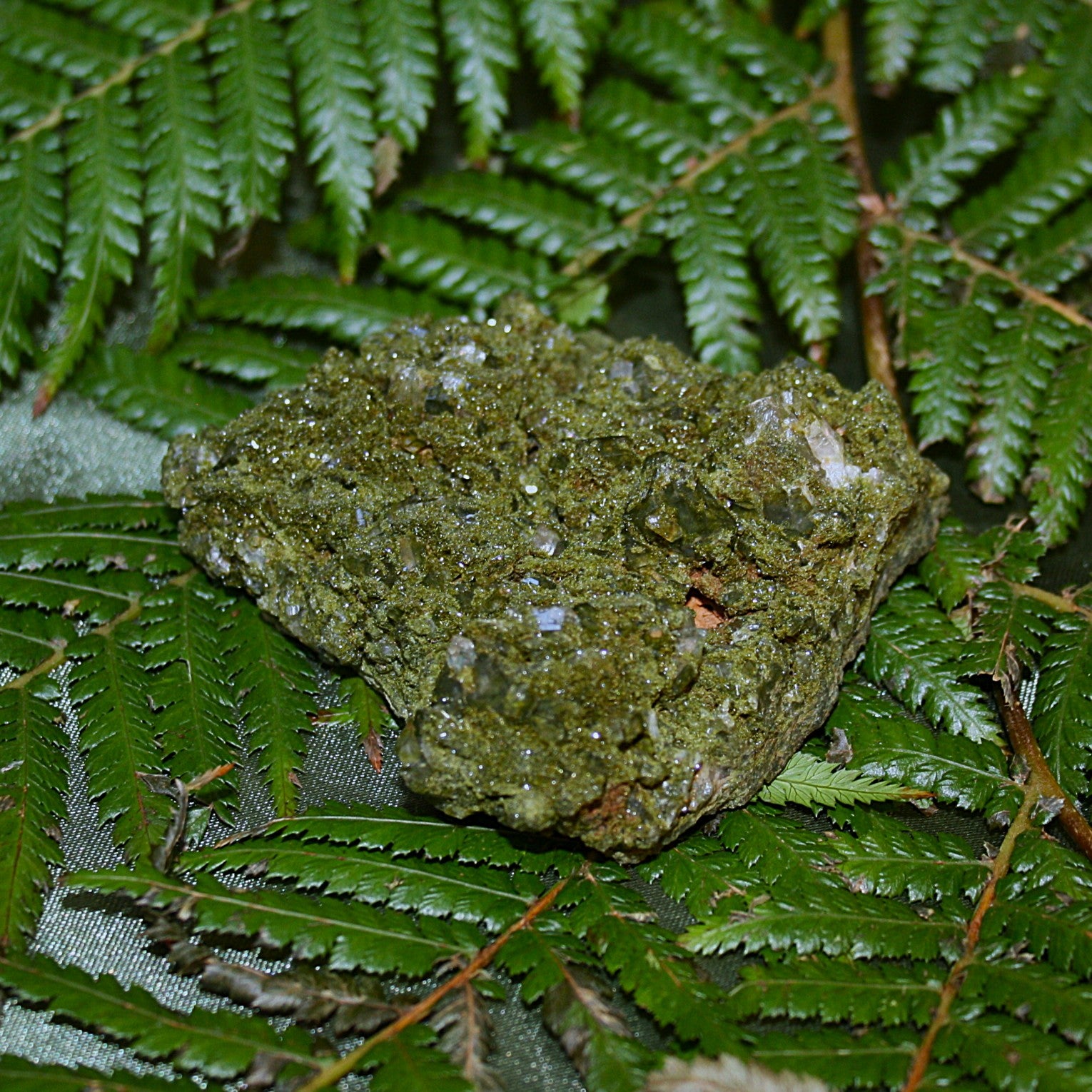 AAA Fairy Forest Epidote (