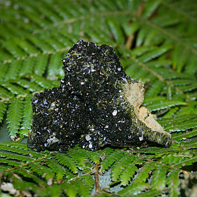AAA Fairy Forest Epidote