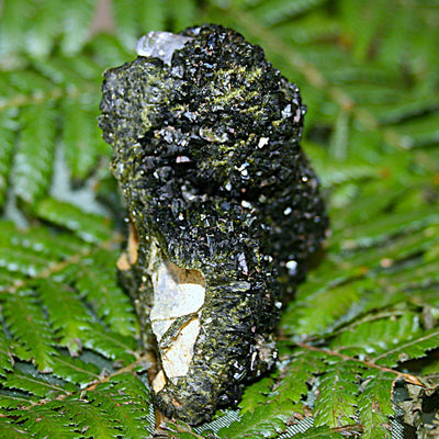 AAA Fairy Forest Epidote