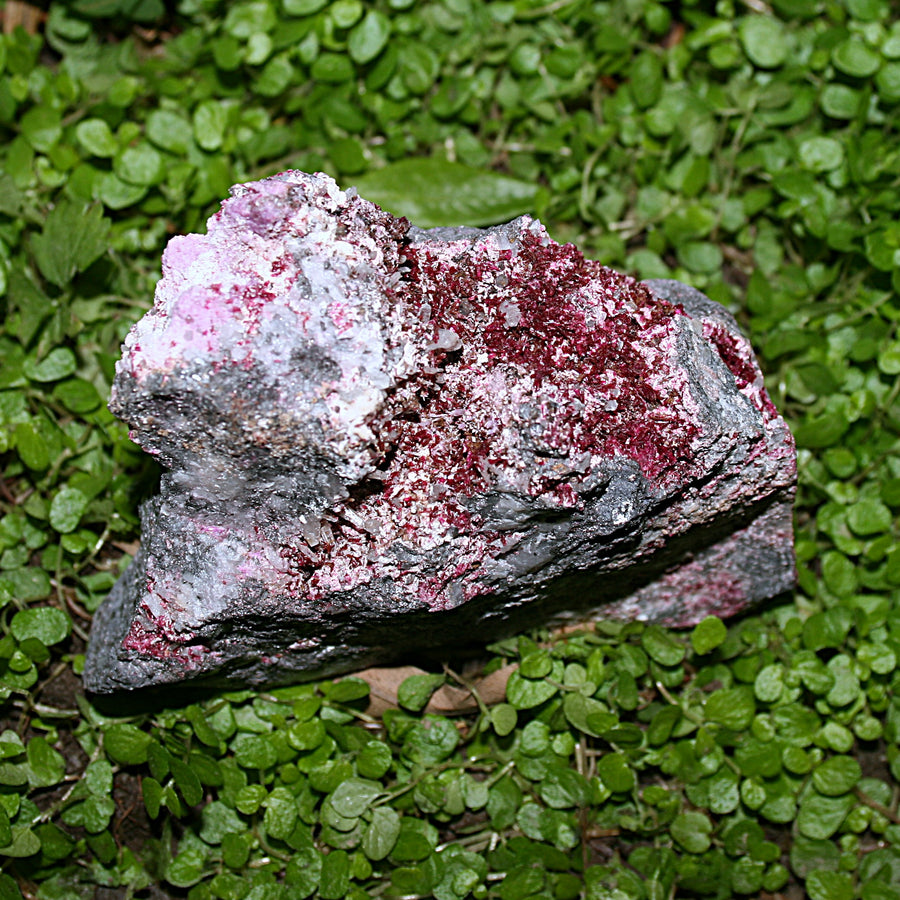 Erythrite Specimen