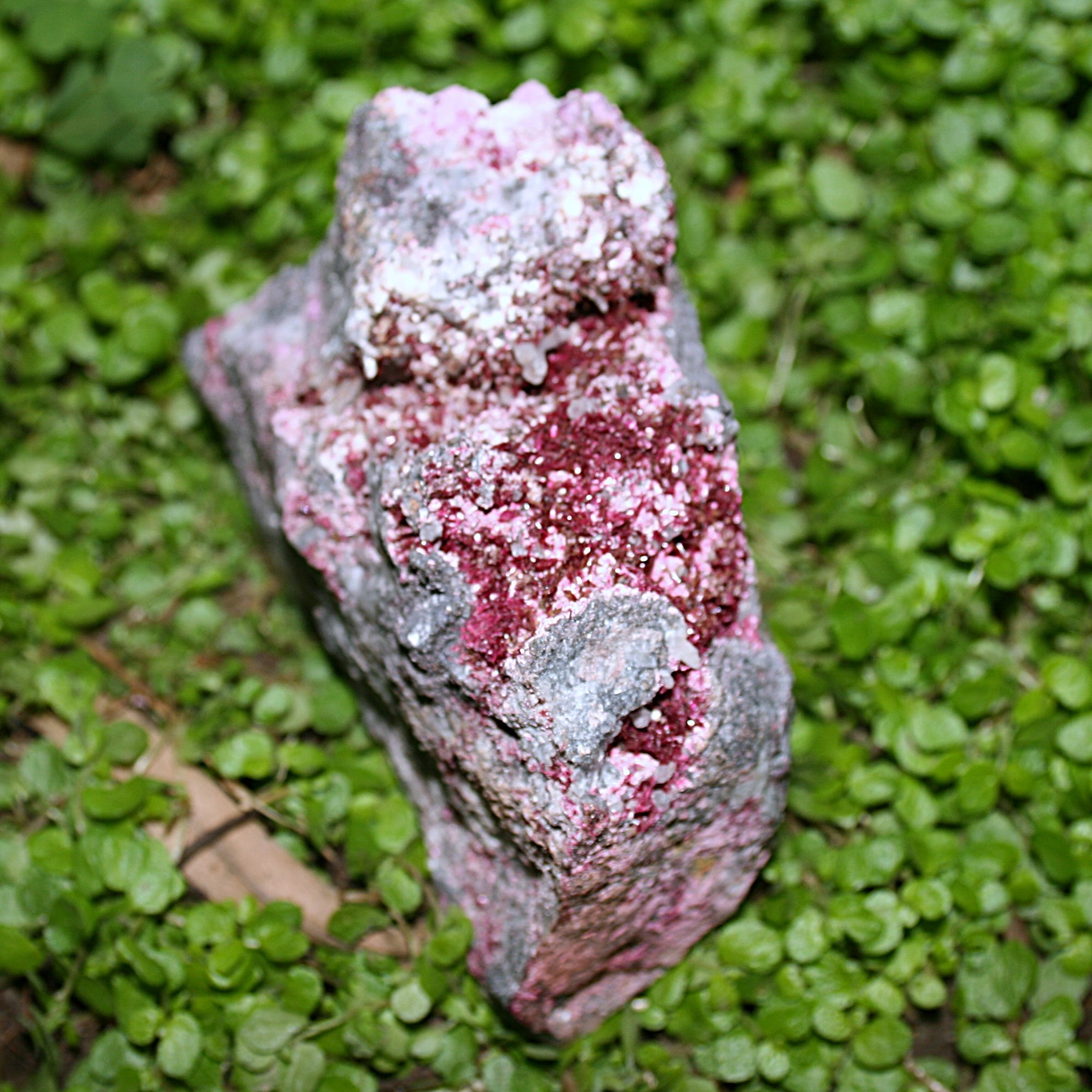 Erythrite Specimen