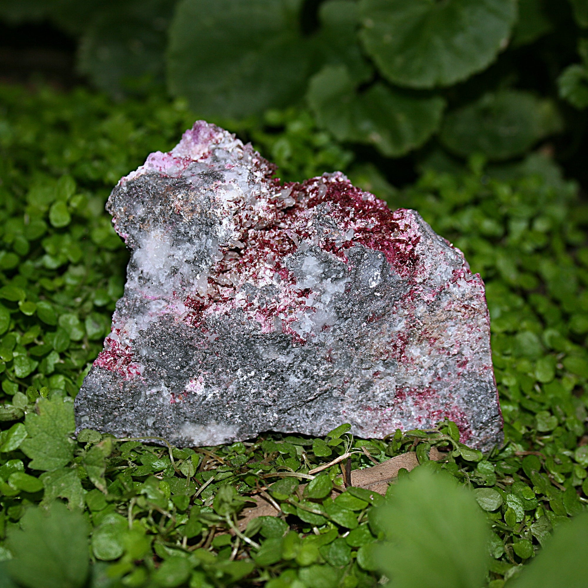 Erythrite Specimen