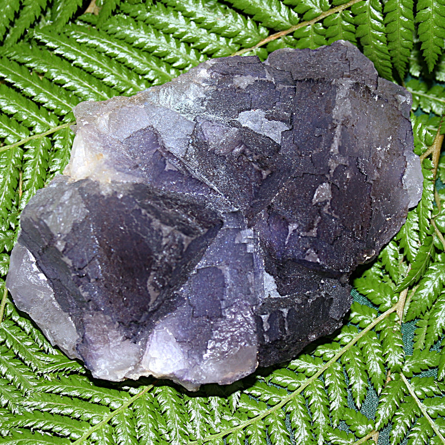 Raw Purple Fluorite