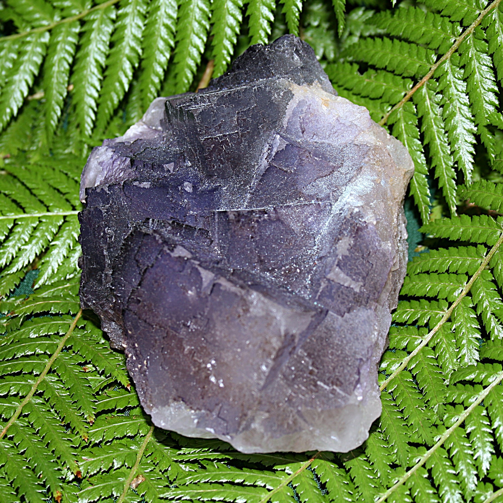 Raw Purple Fluorite