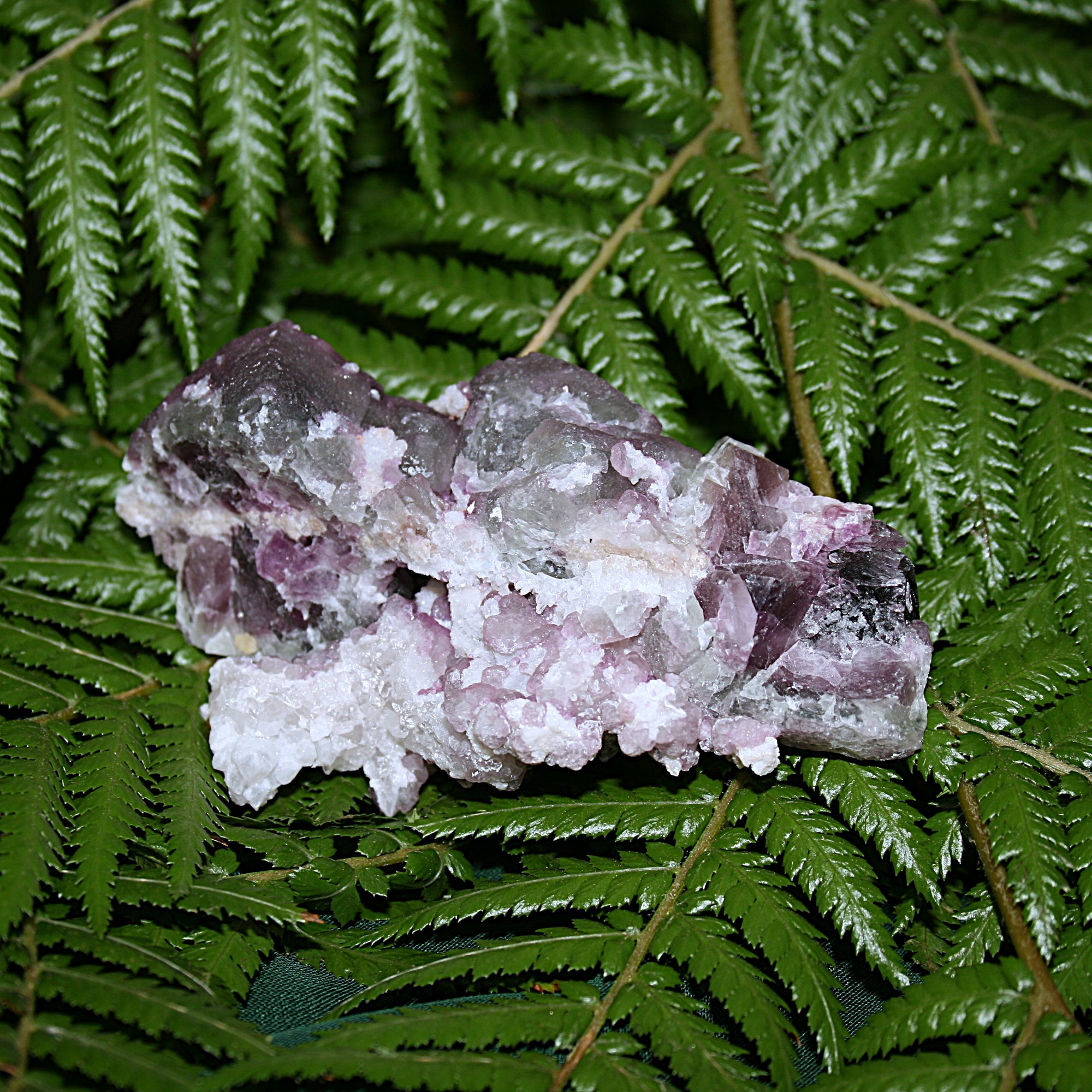 Tombstone Fluorite