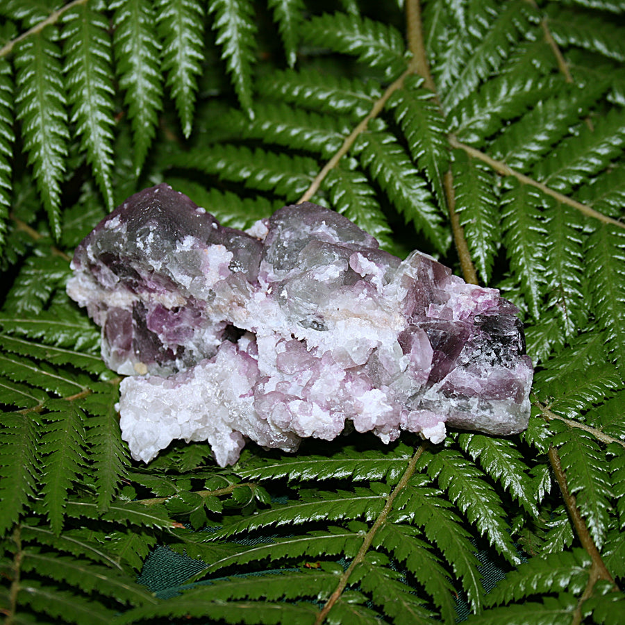 Tombstone Fluorite