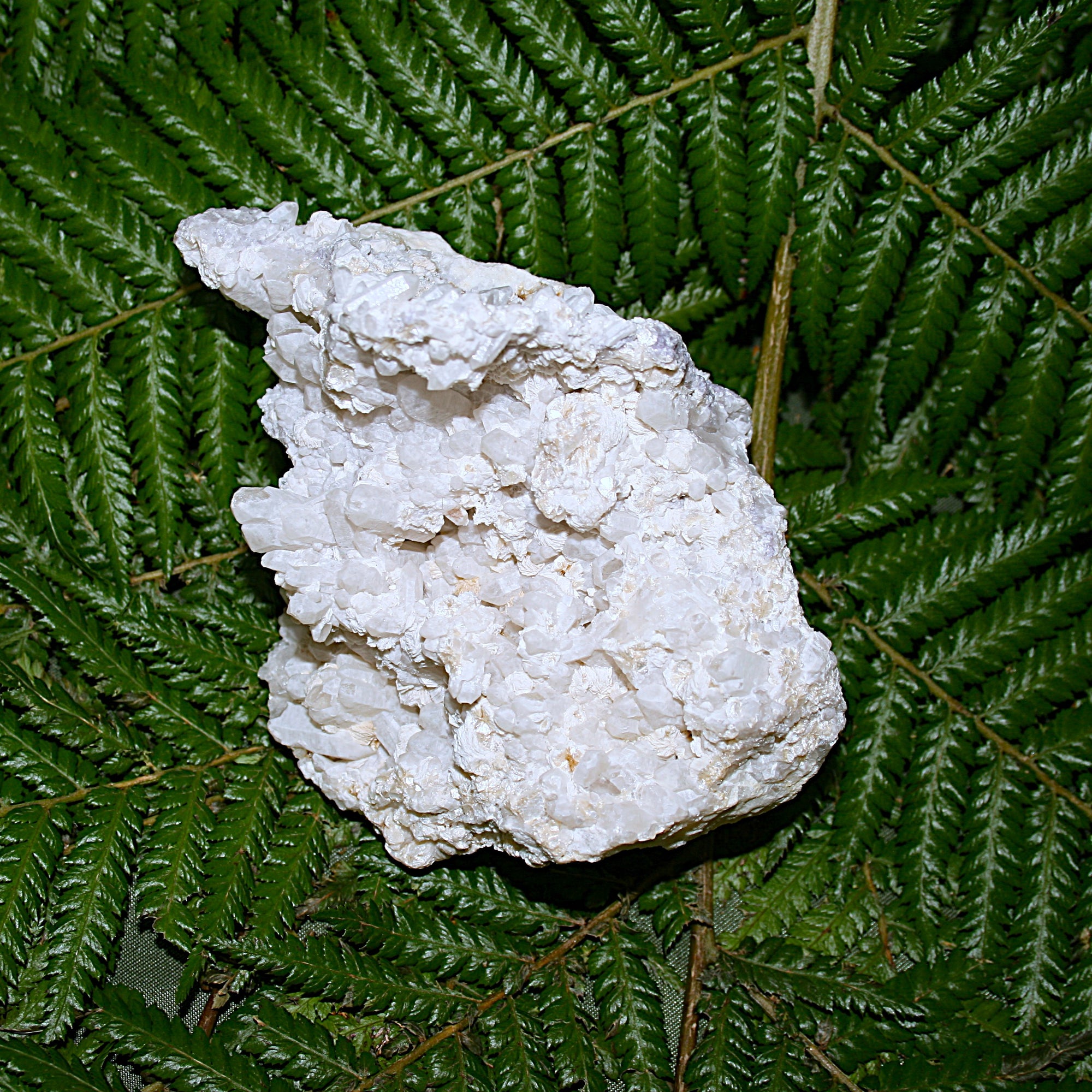 Raw Goddess Quartz