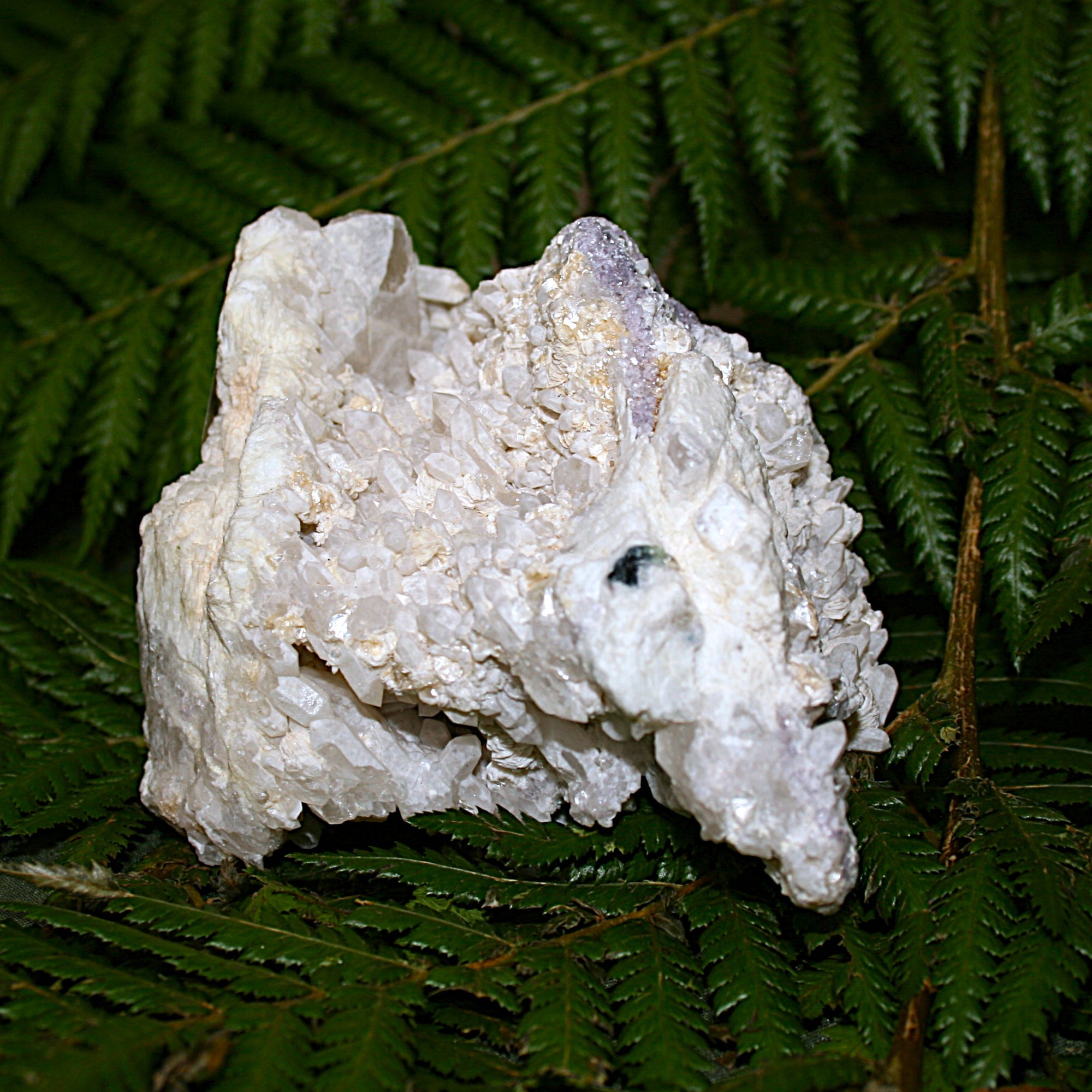 Raw Goddess Quartz