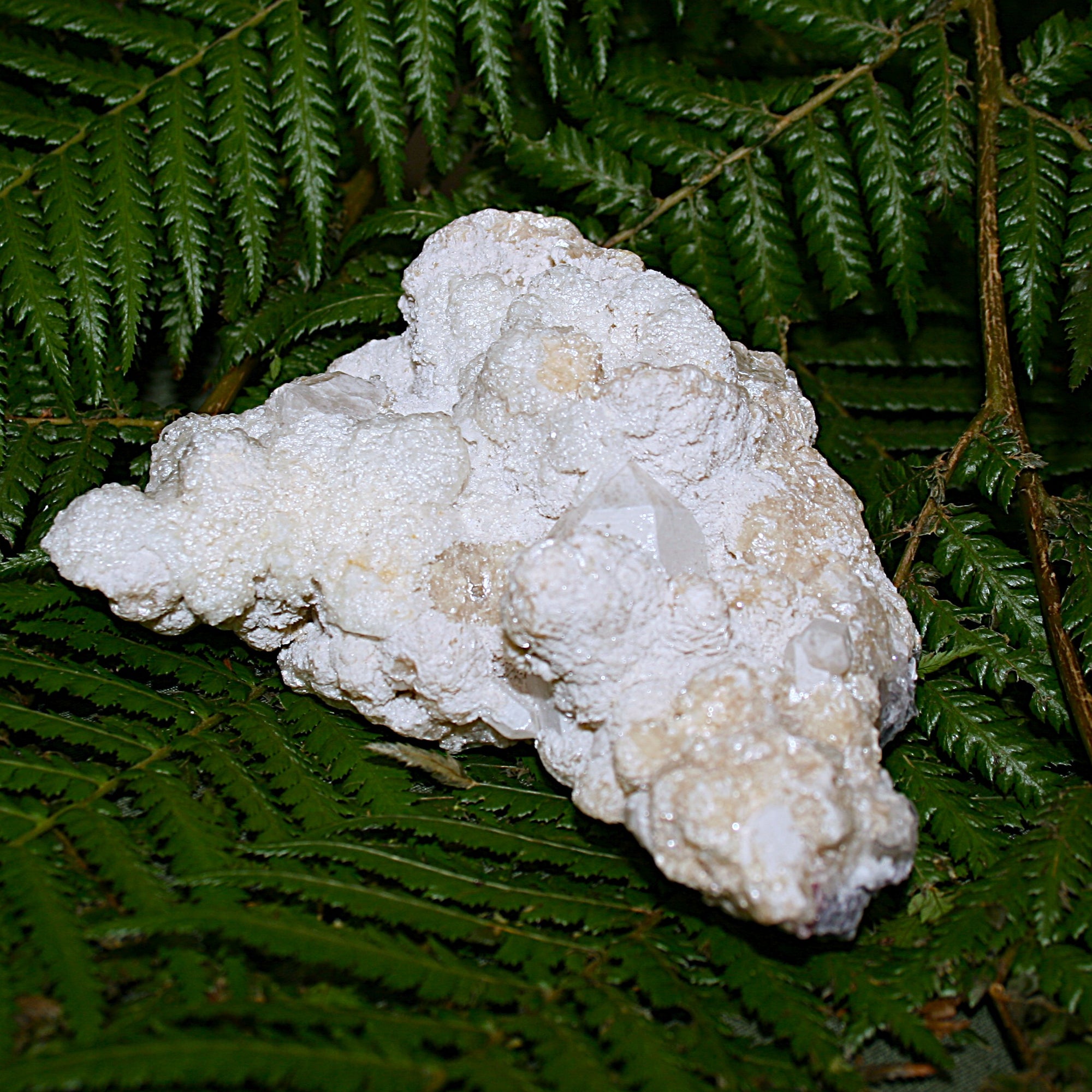 Raw Goddess Quartz
