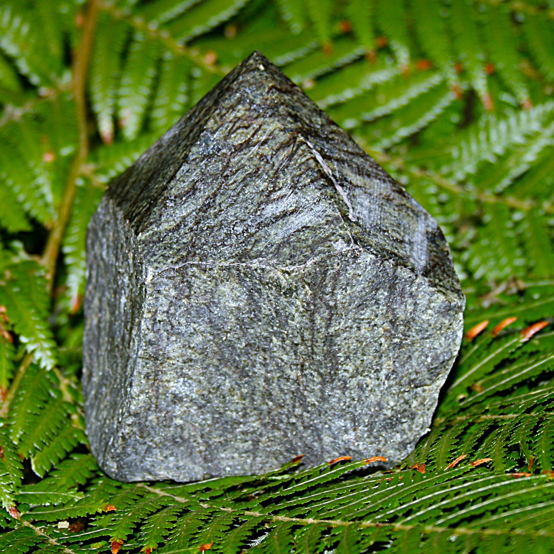Green Tiger's Eye Point