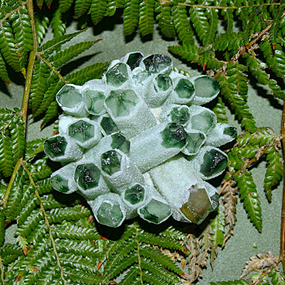 Green Tibetan Phantom Quartz