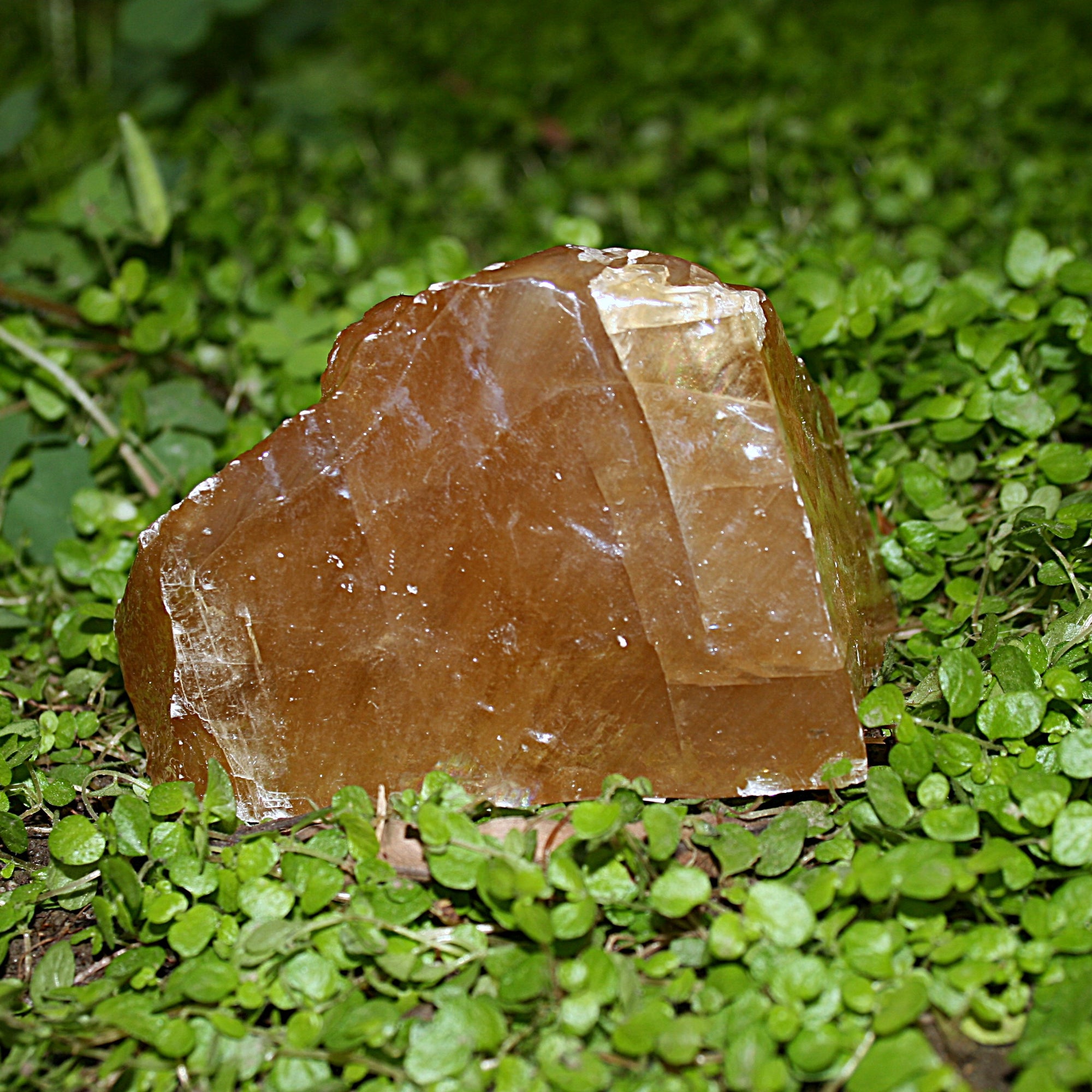 Honeycomb Calcite
