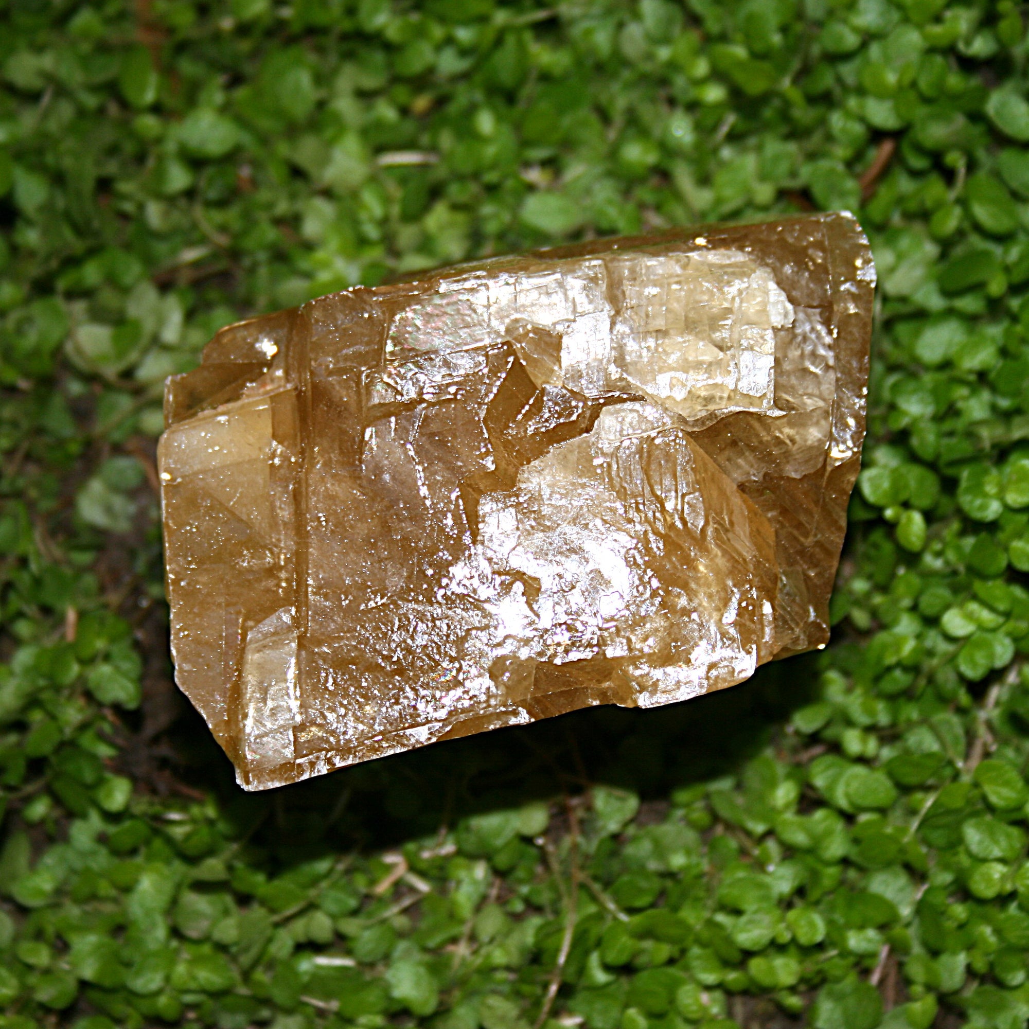 Honeycomb Calcite