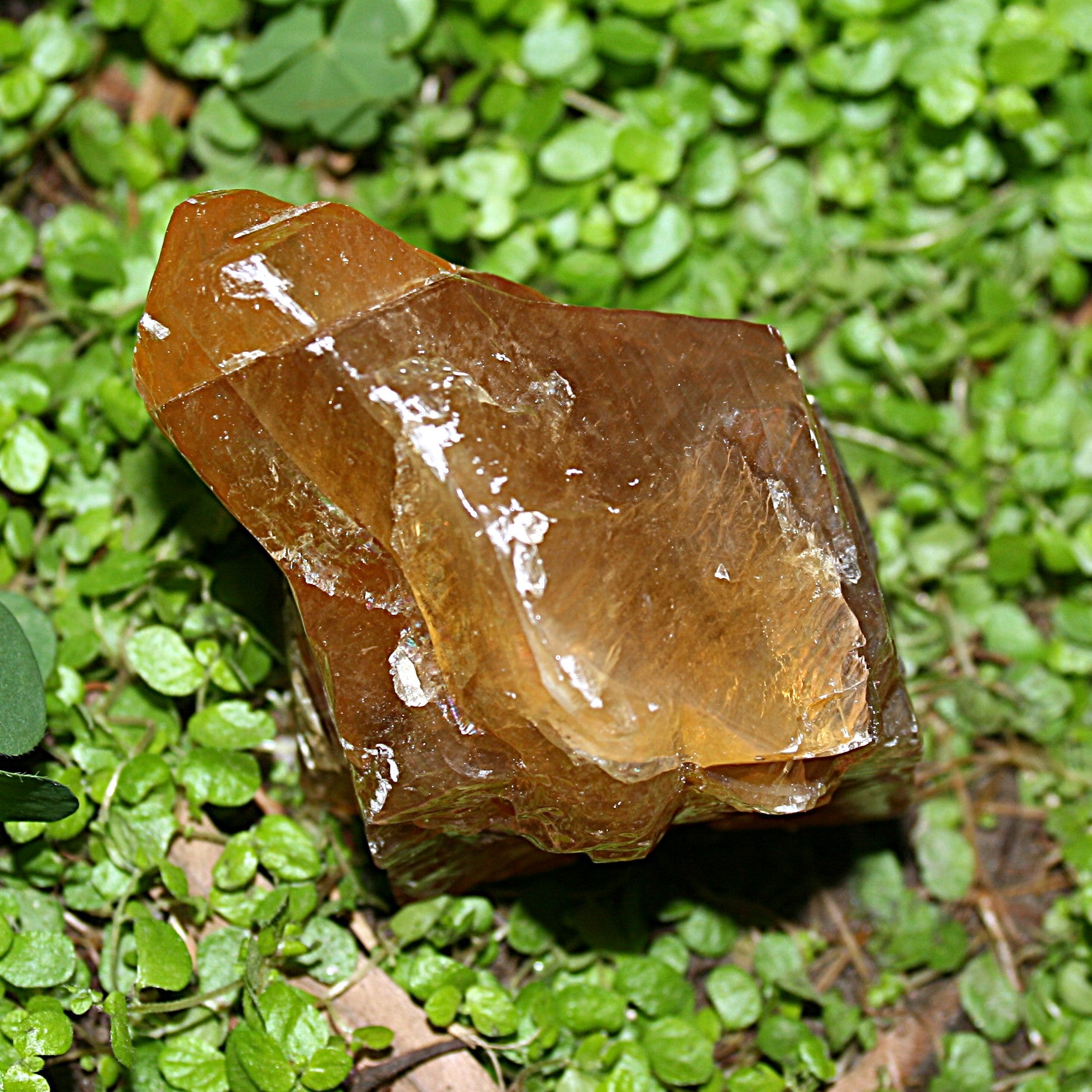 Honeycomb Calcite