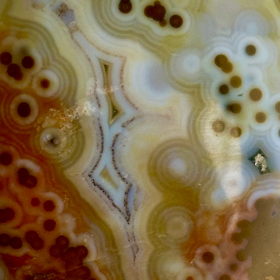 AAA Ocean Jasper Palm Stone