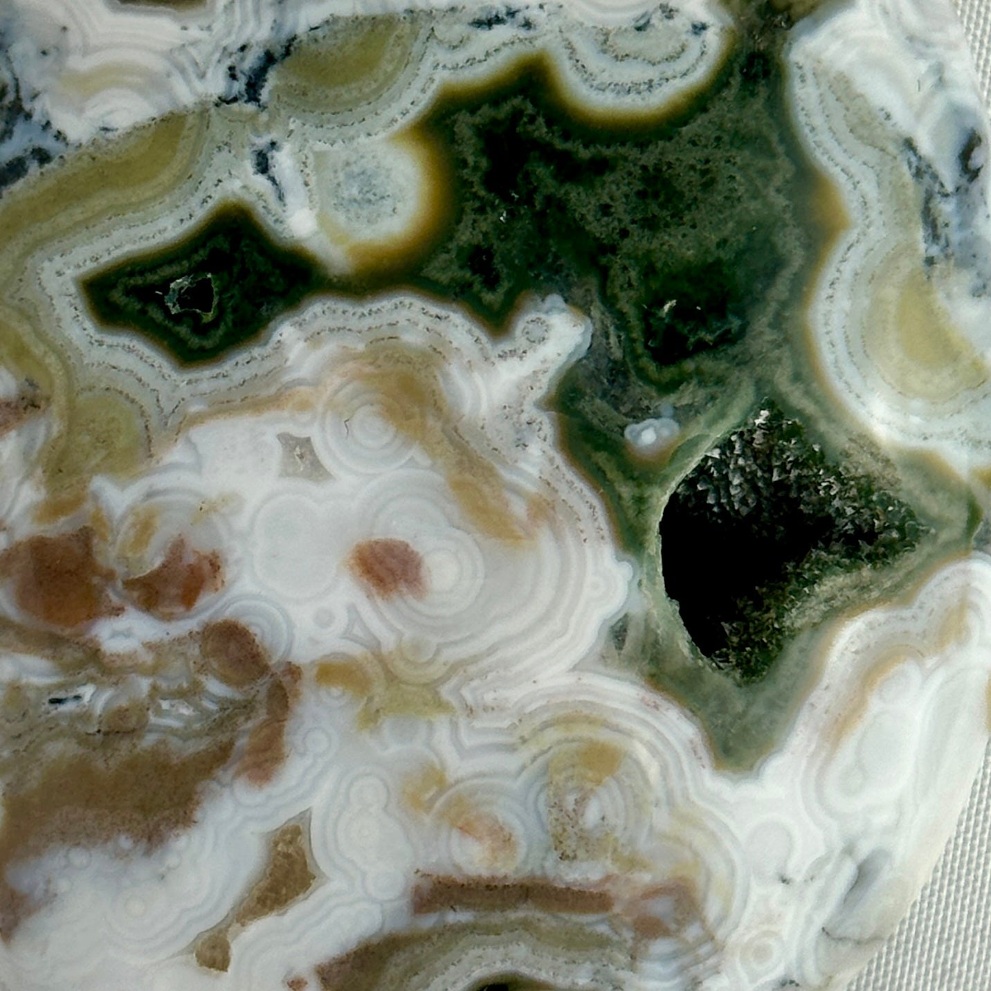 AAA Ocean Jasper Palm Stone