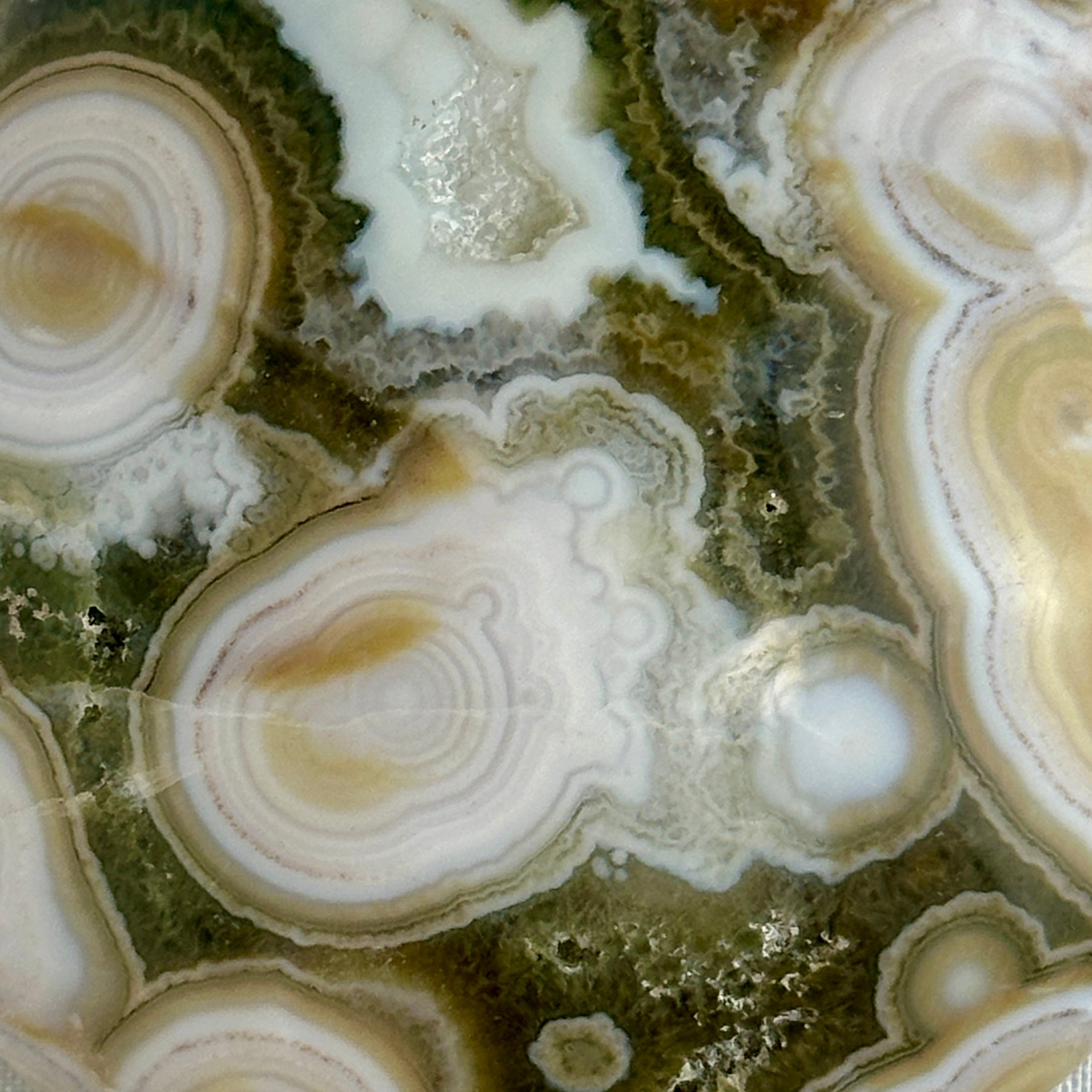 AAA Ocean Jasper Palm Stone