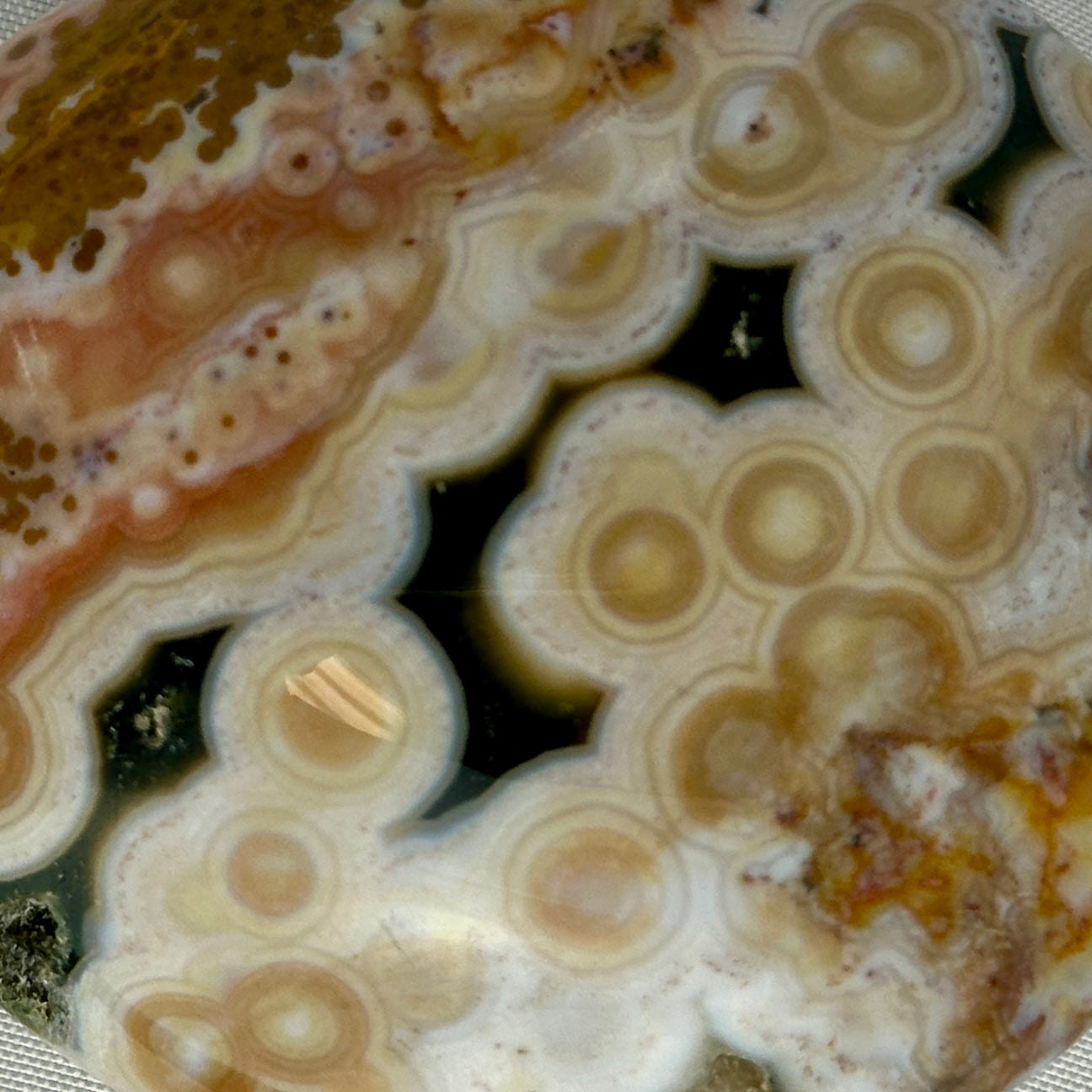 AAA Ocean Jasper Palm Stone