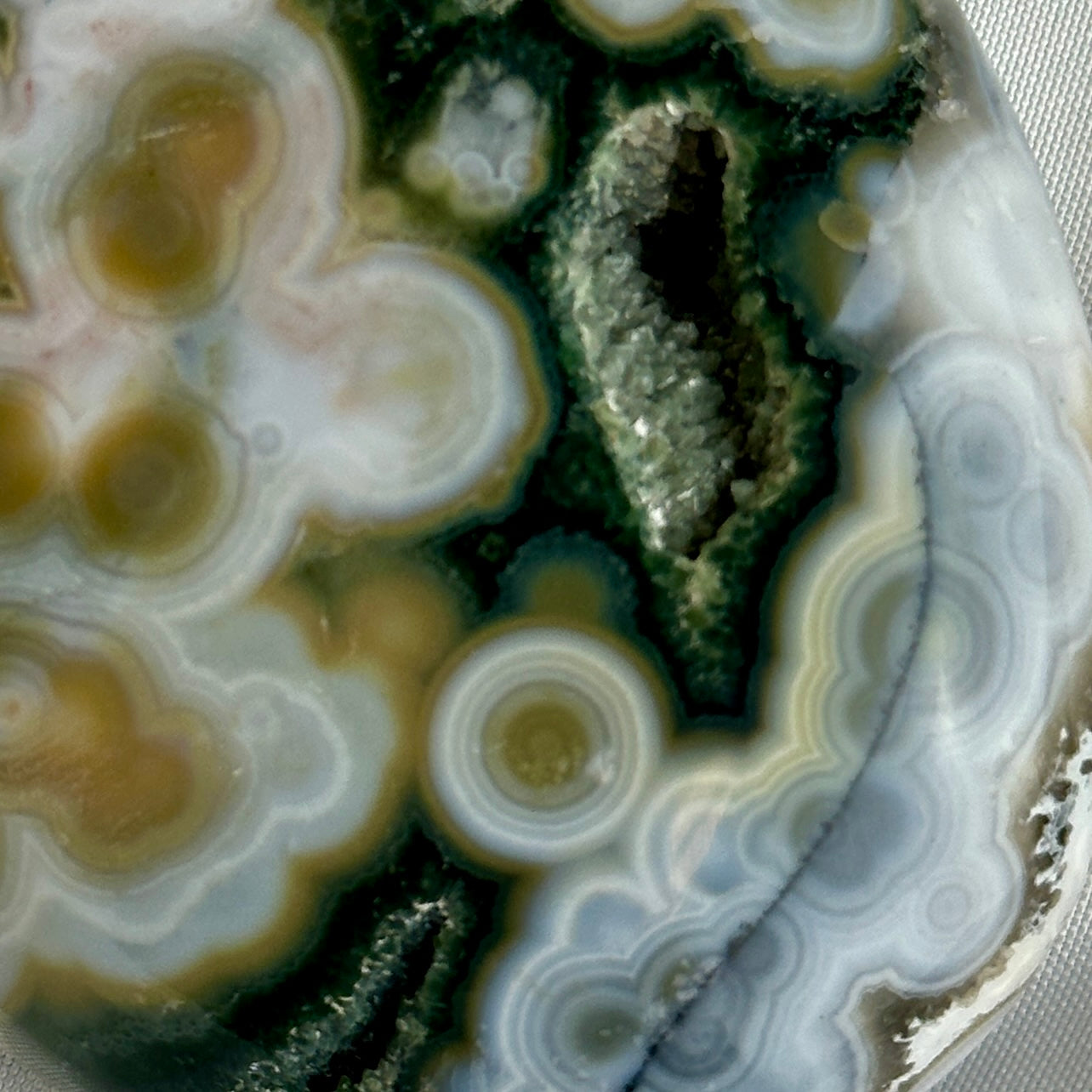 AAA Ocean Jasper Palm Stone