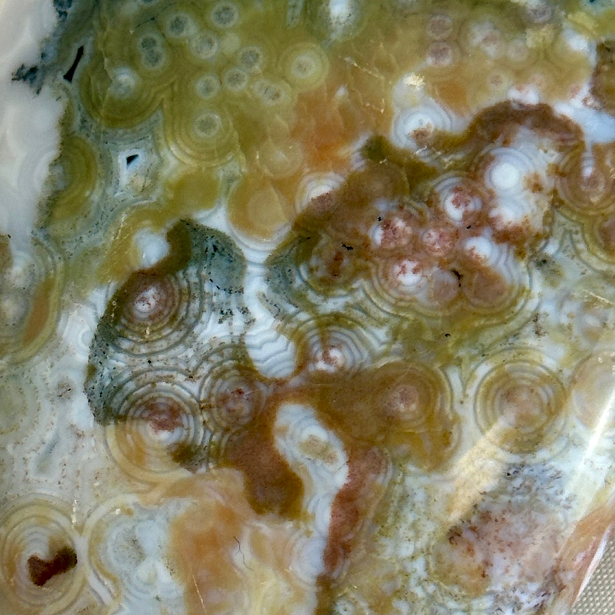 AAA Ocean Jasper Palm Stone