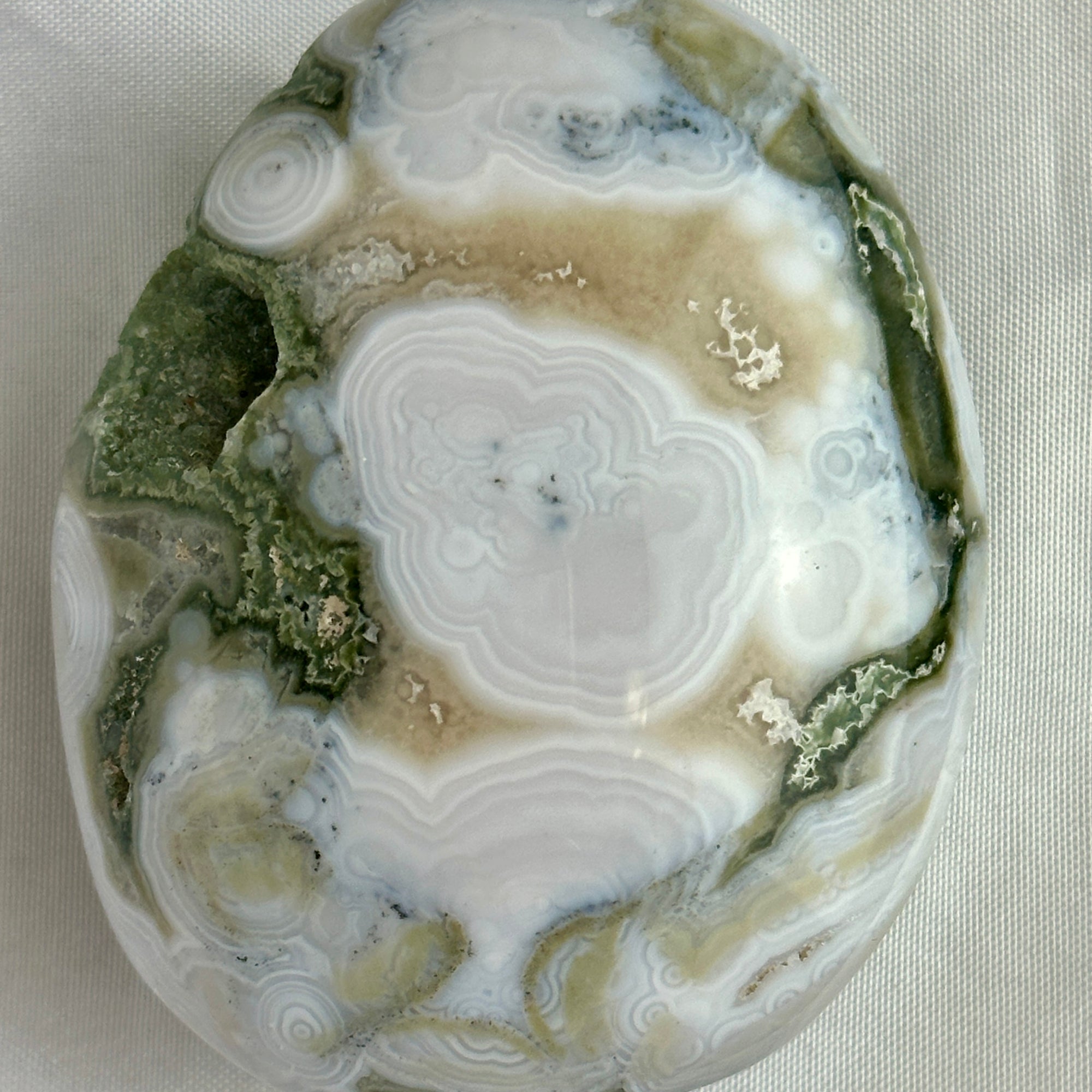 AAA Ocean Jasper Palm Stone