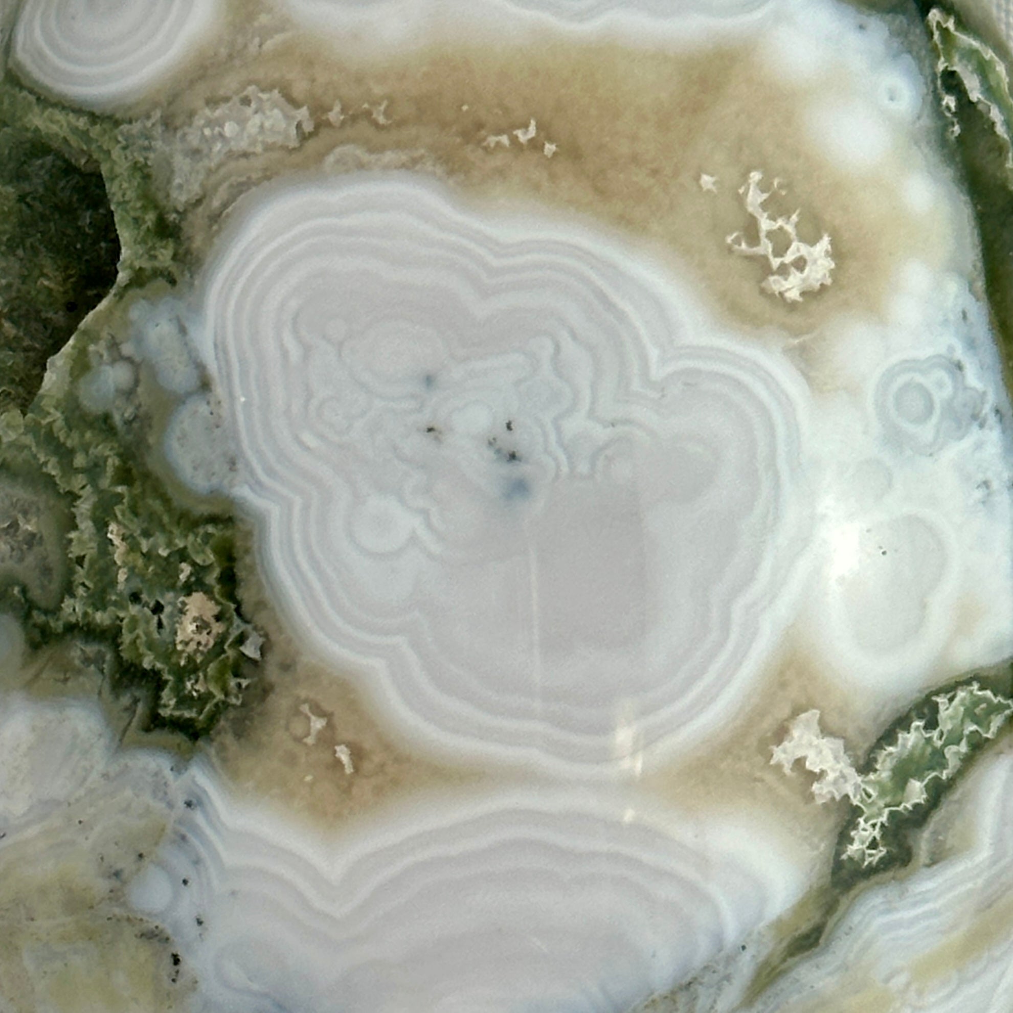 AAA Ocean Jasper Palm Stone