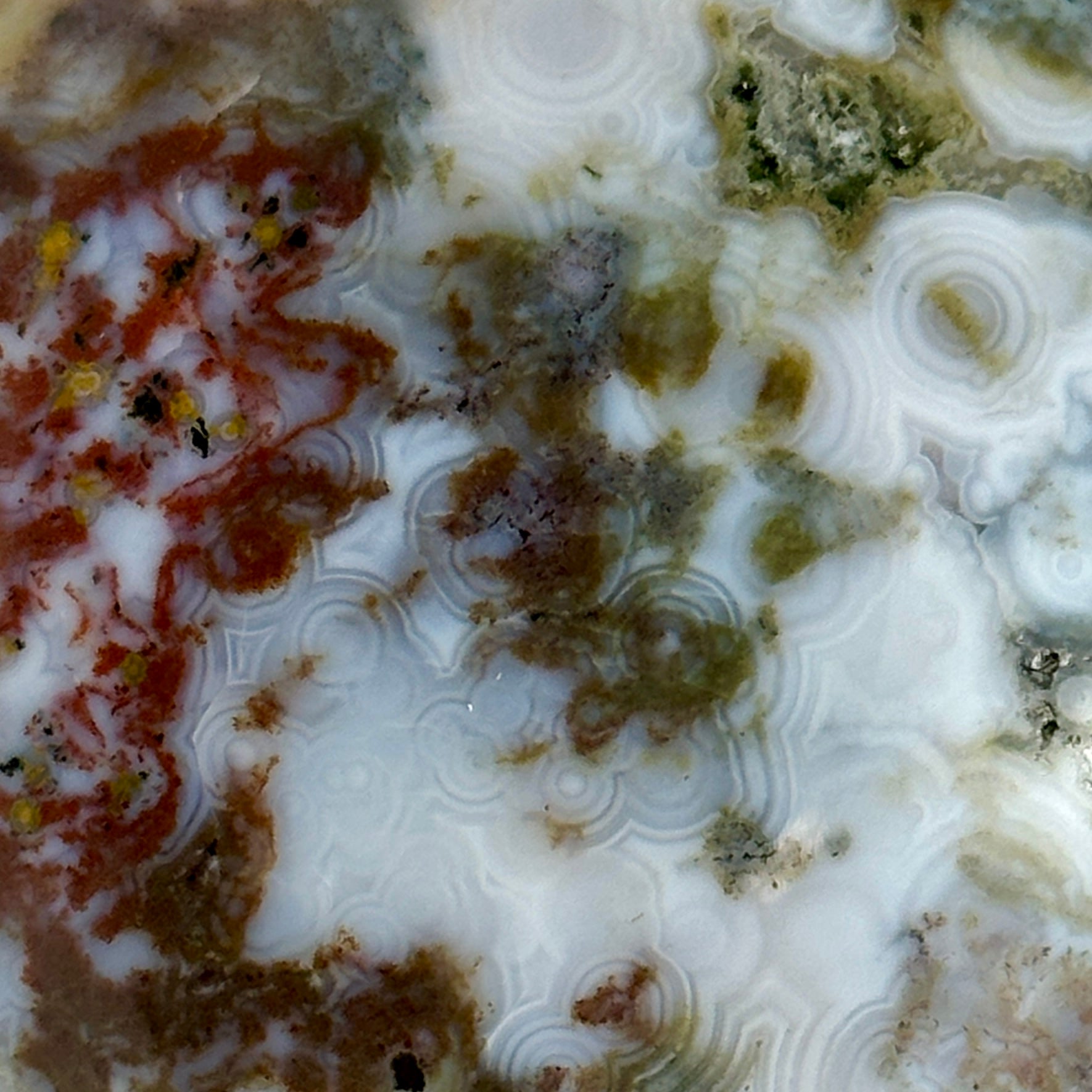 AAA Ocean Jasper Palm Stone