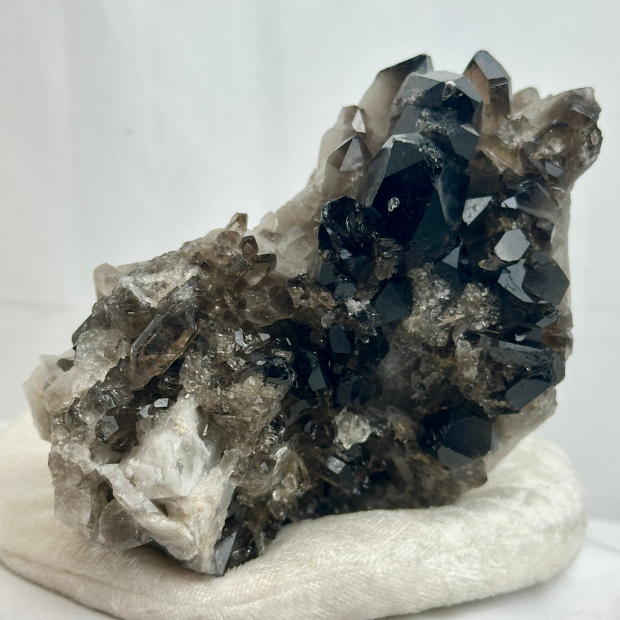 Smoky Quartz Cluster