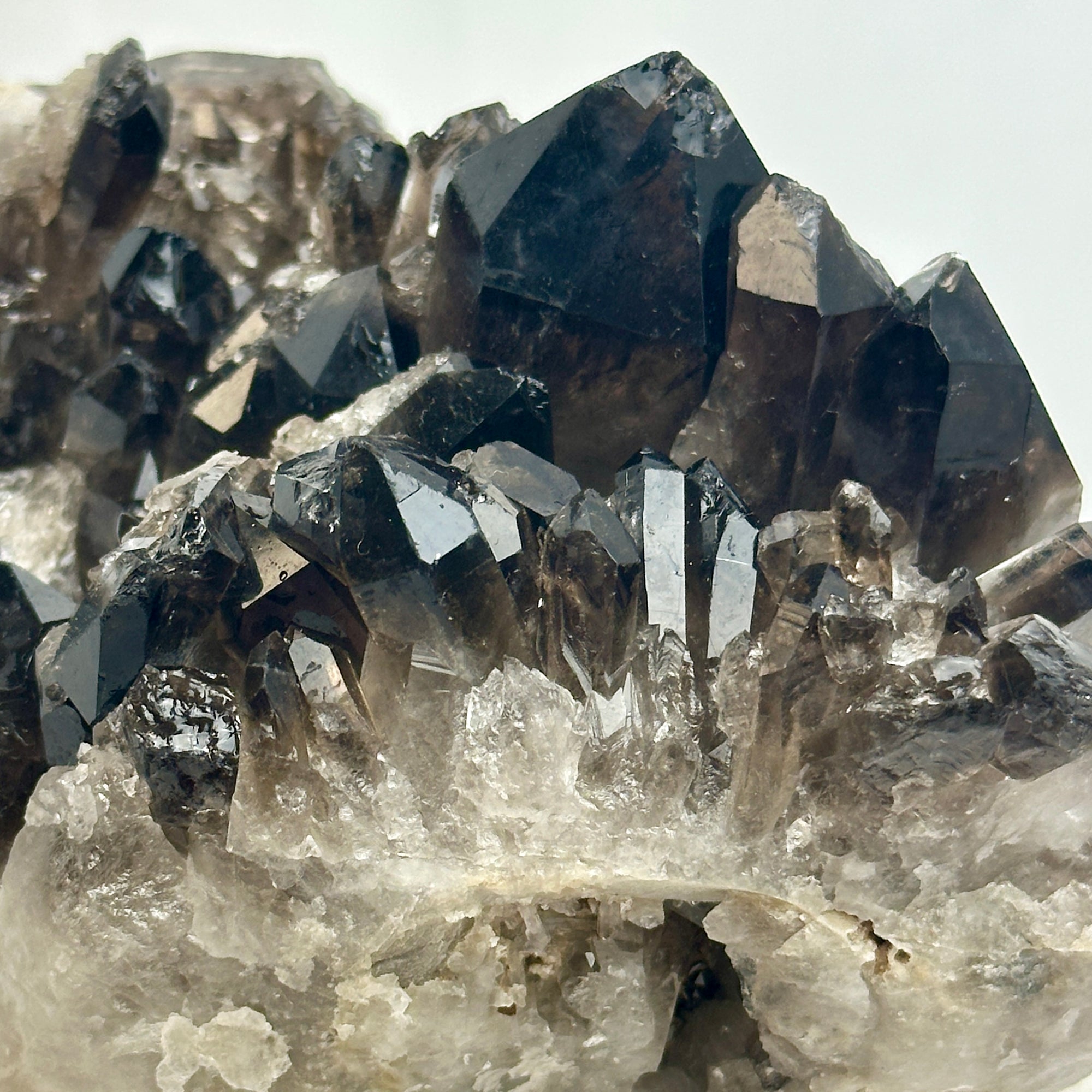 Smoky Quartz Cluster