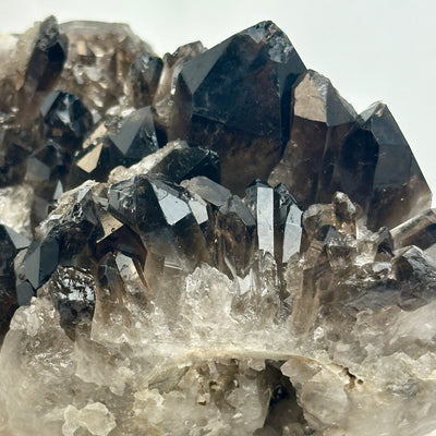 Smoky Quartz Cluster